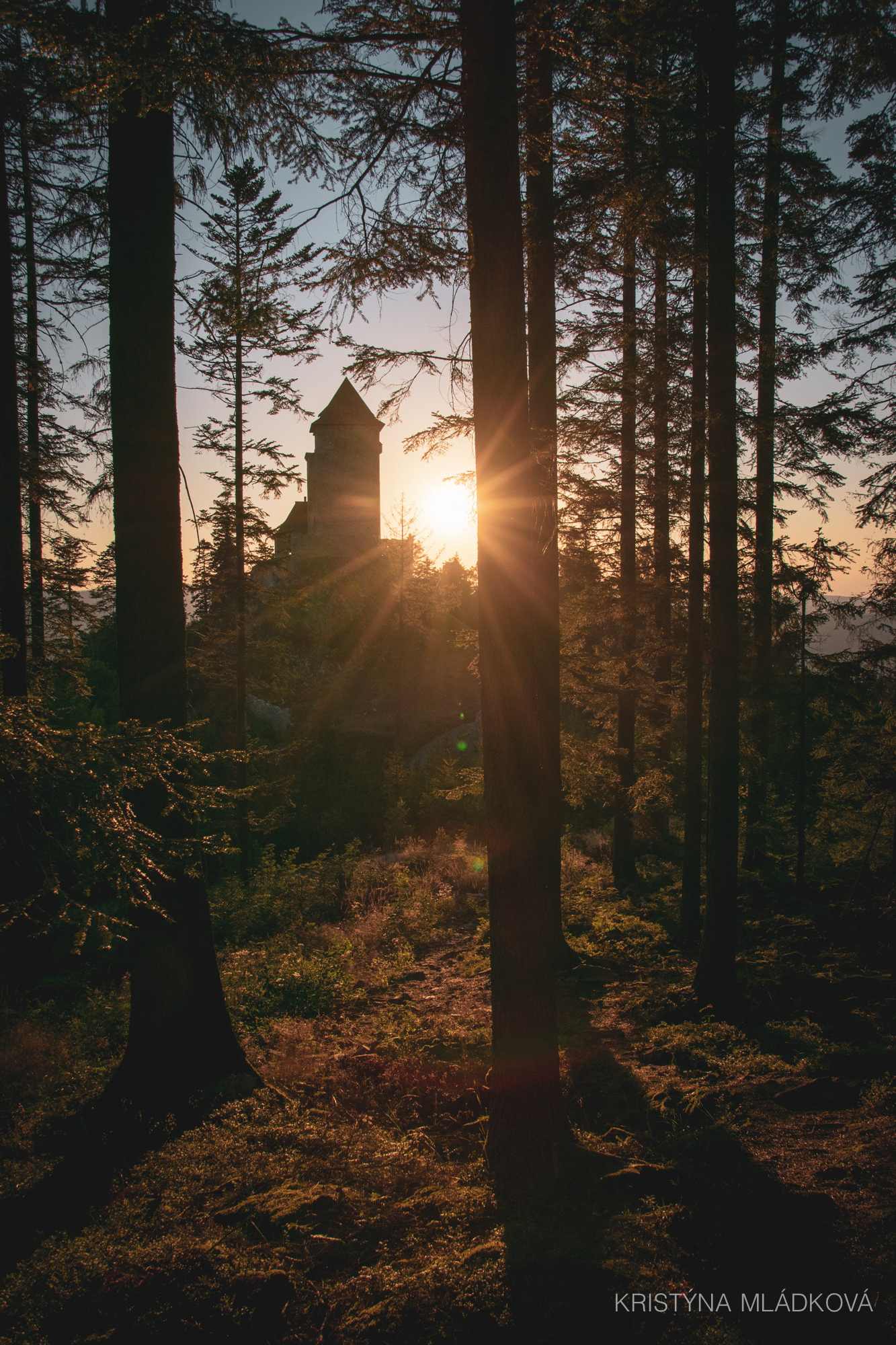 Šumava national park