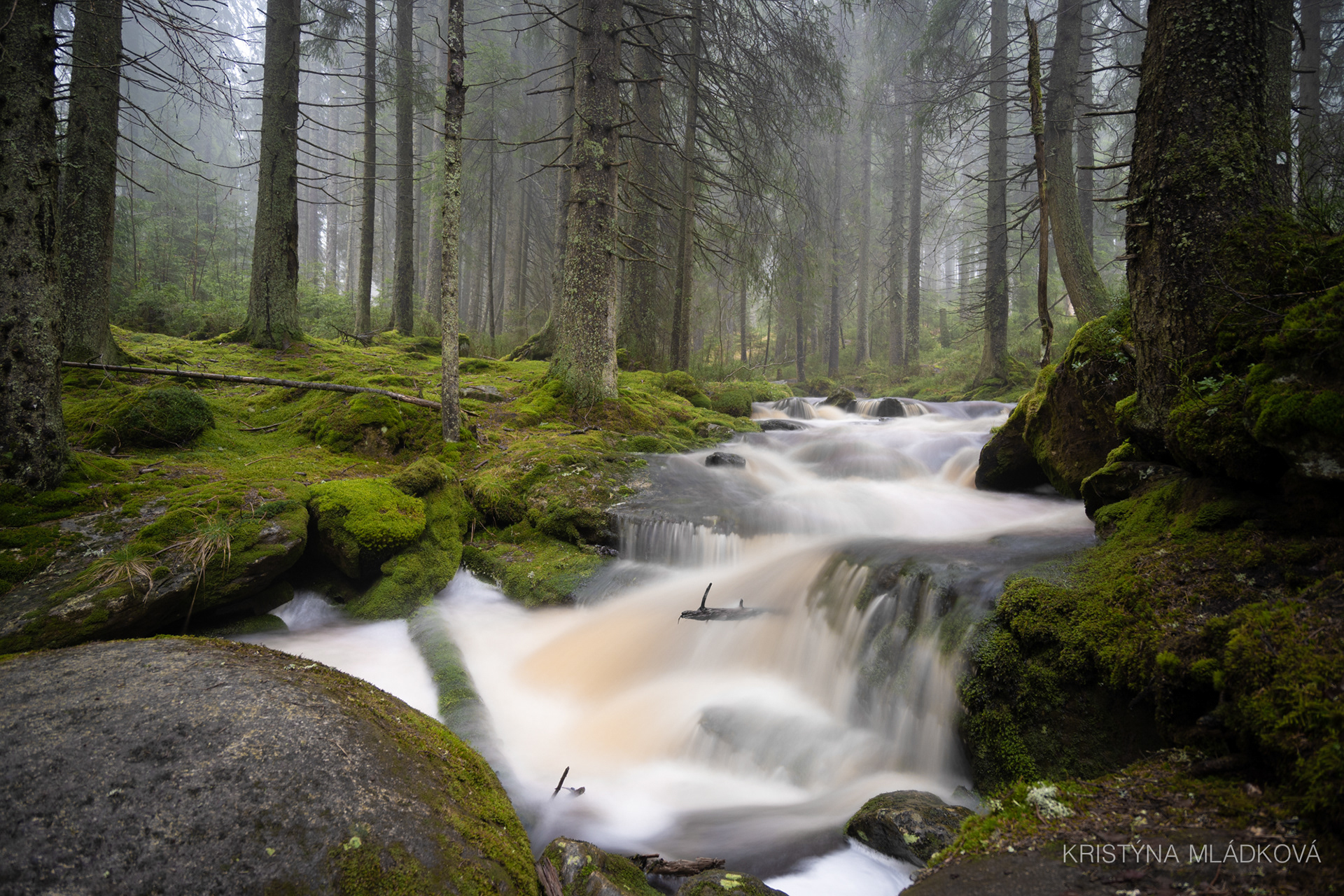 Šumava national park