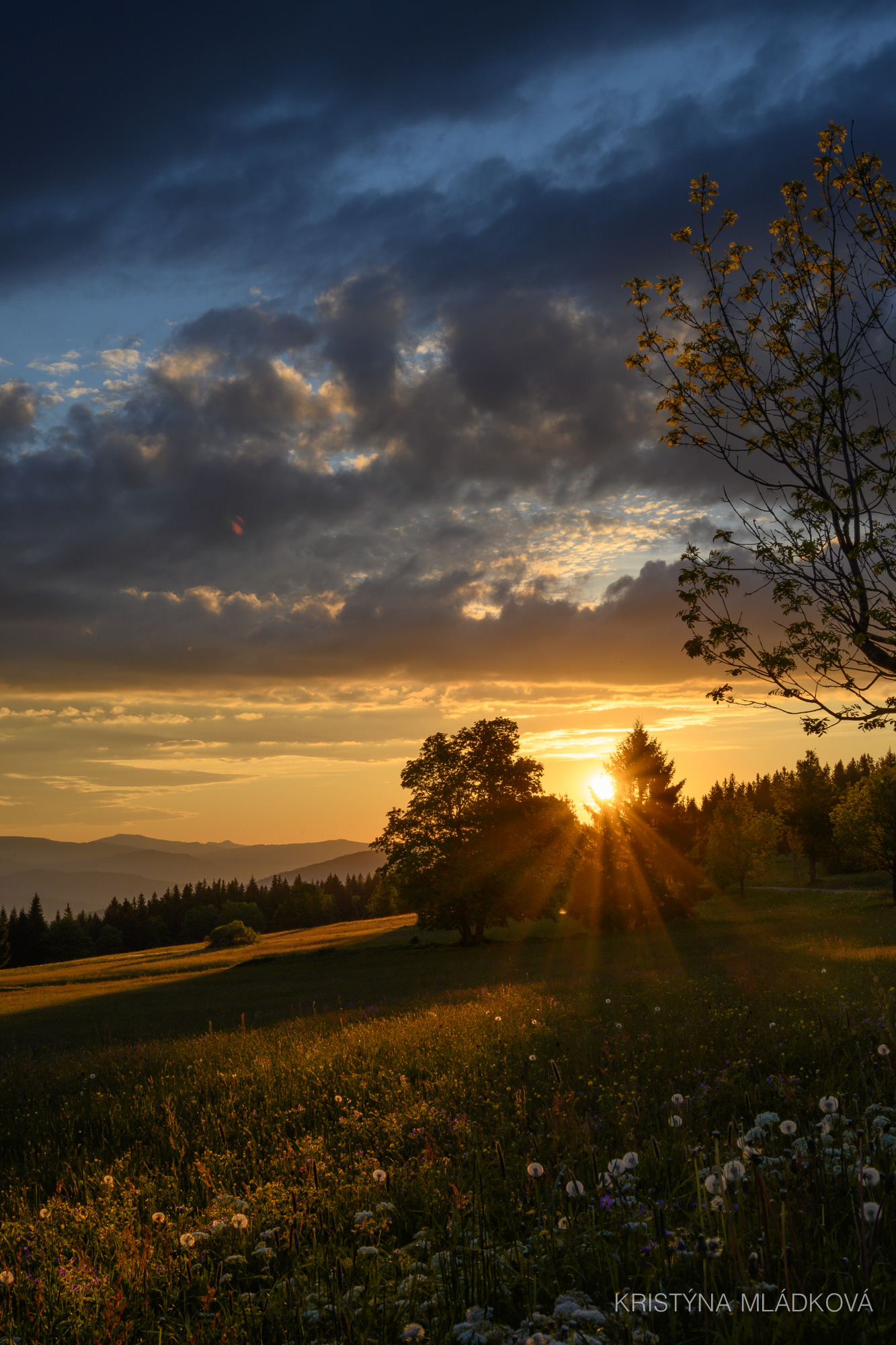 Šumava national park