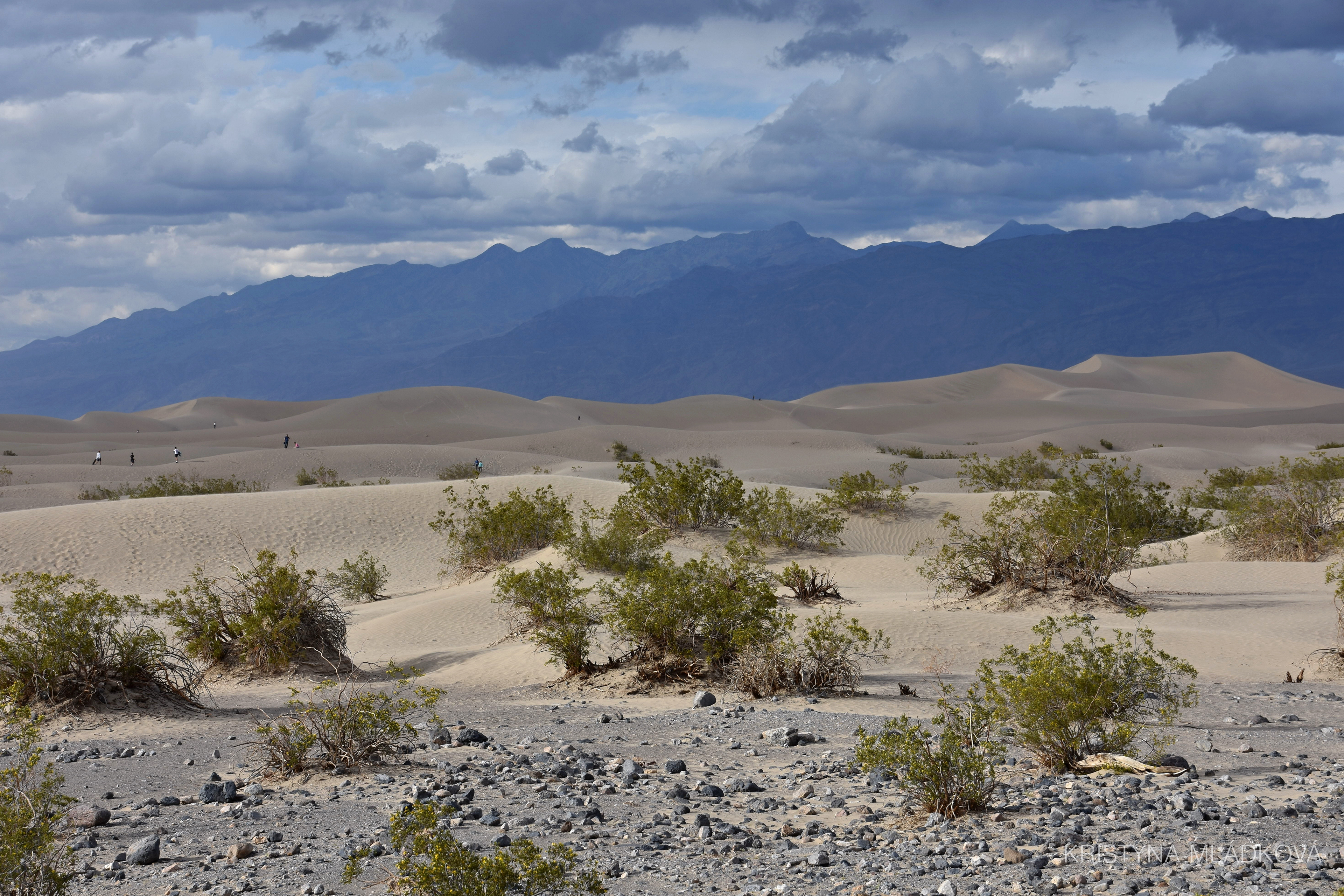 Mesquite Dunes, Death Valley