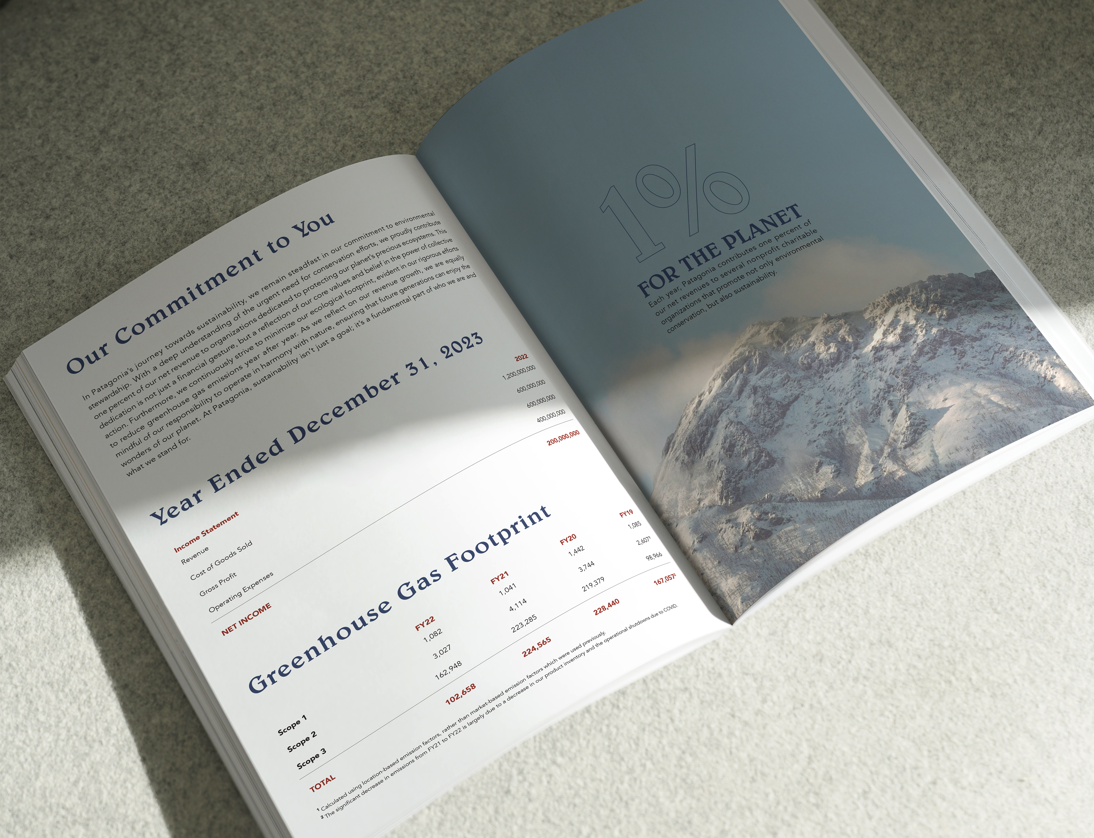 Patagonia Annual Report
