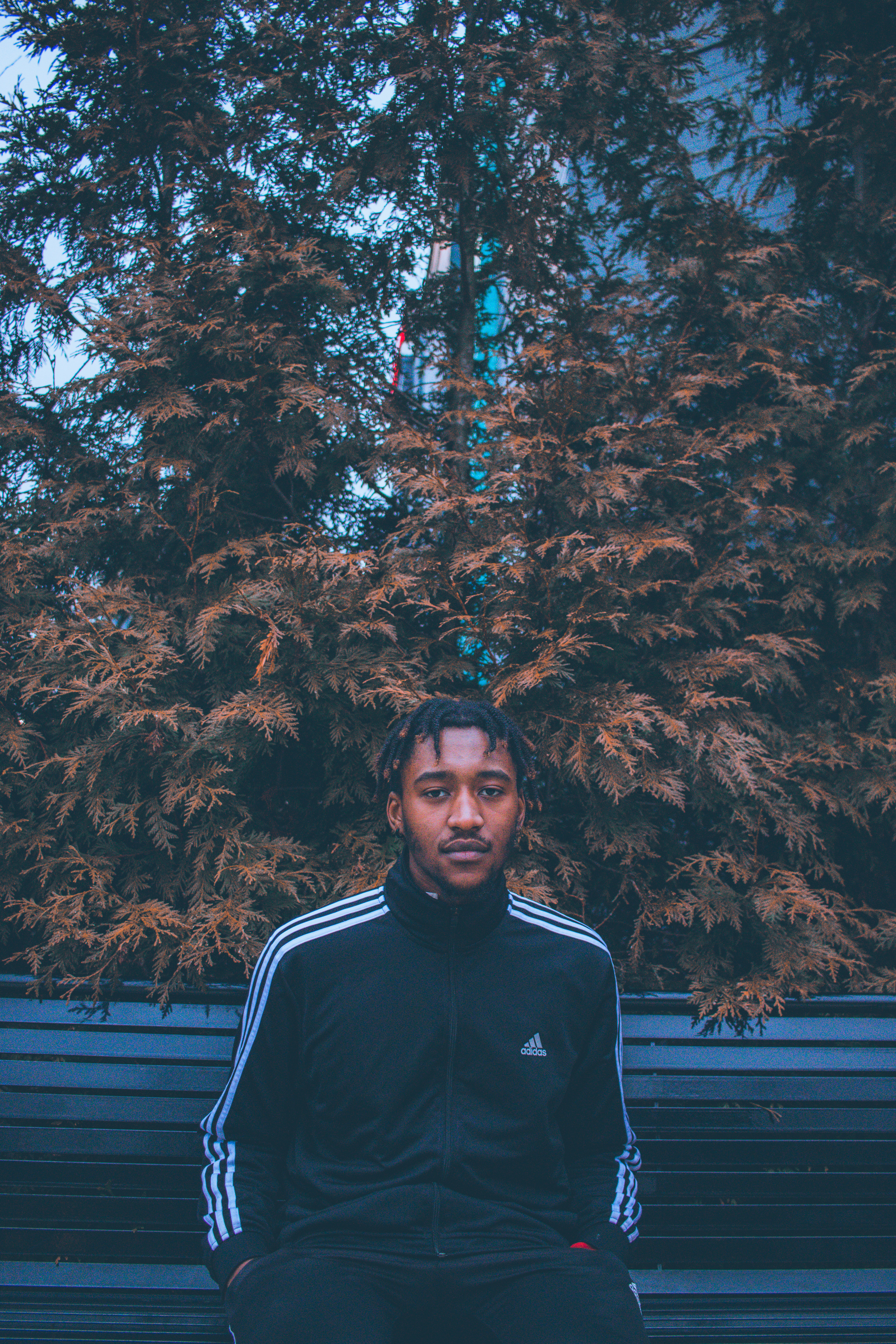 Prince S. - January 2020