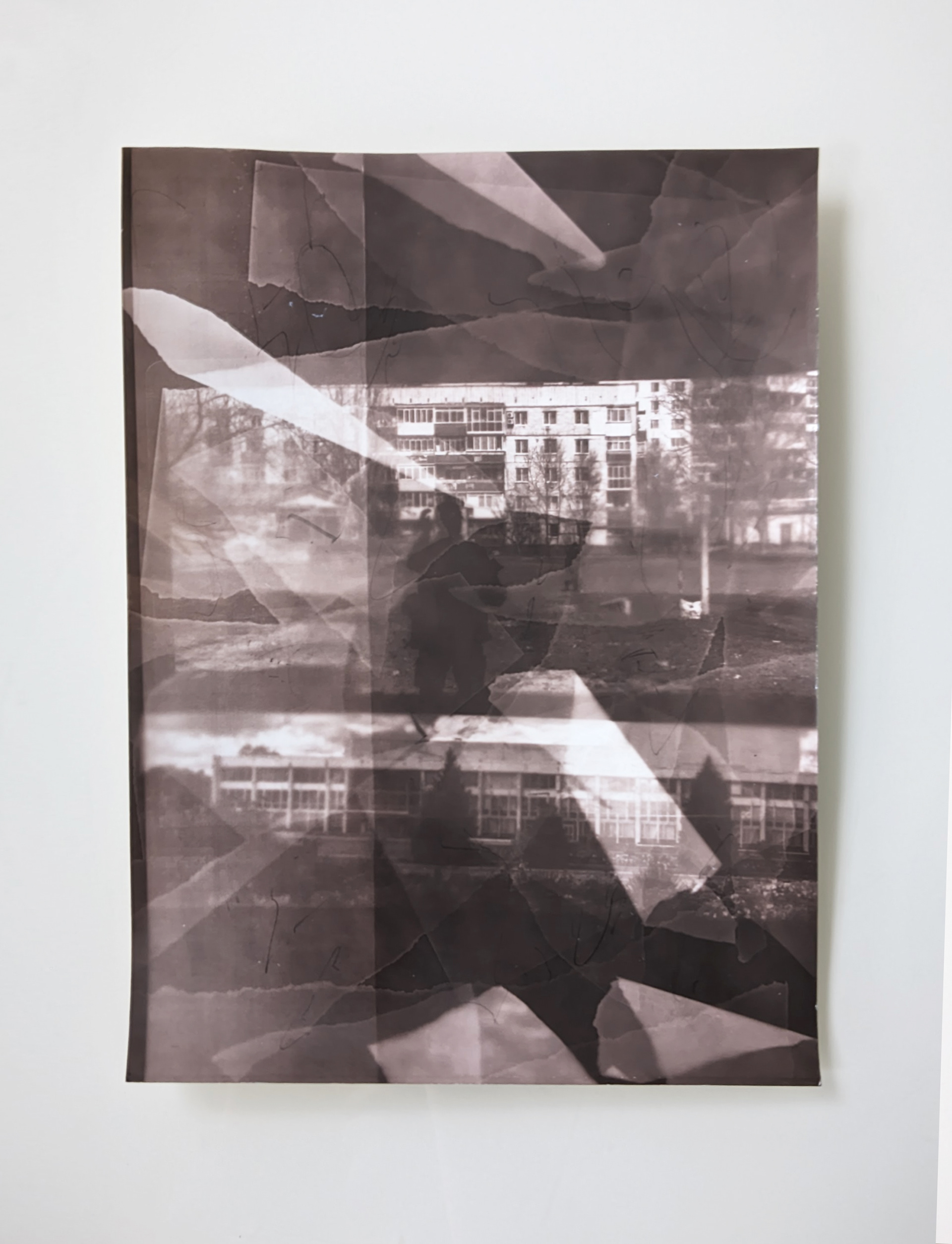 gelatine silver paper. 18x24 2025