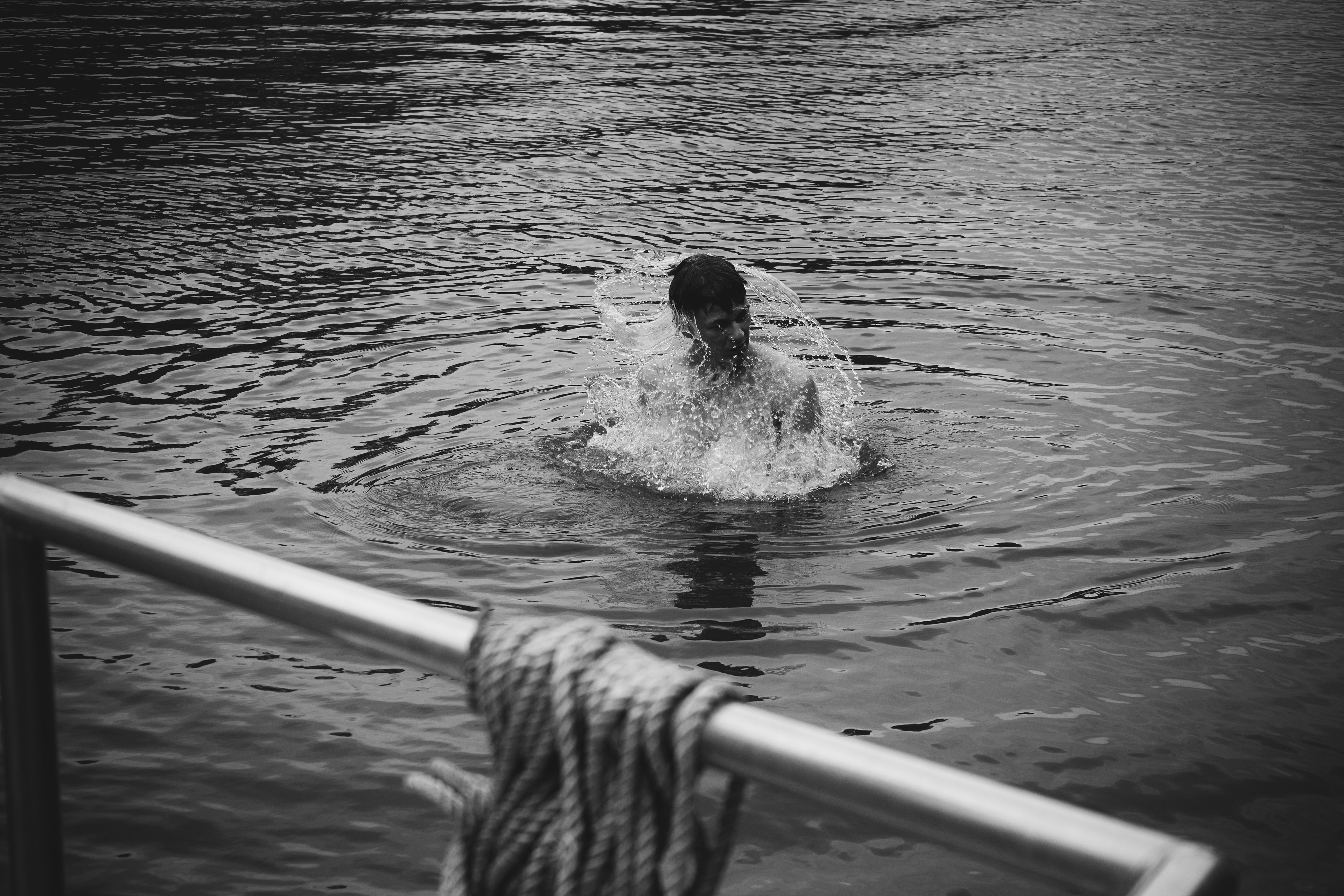 Rise above the waters, Bieschbos, Netherlands 2024