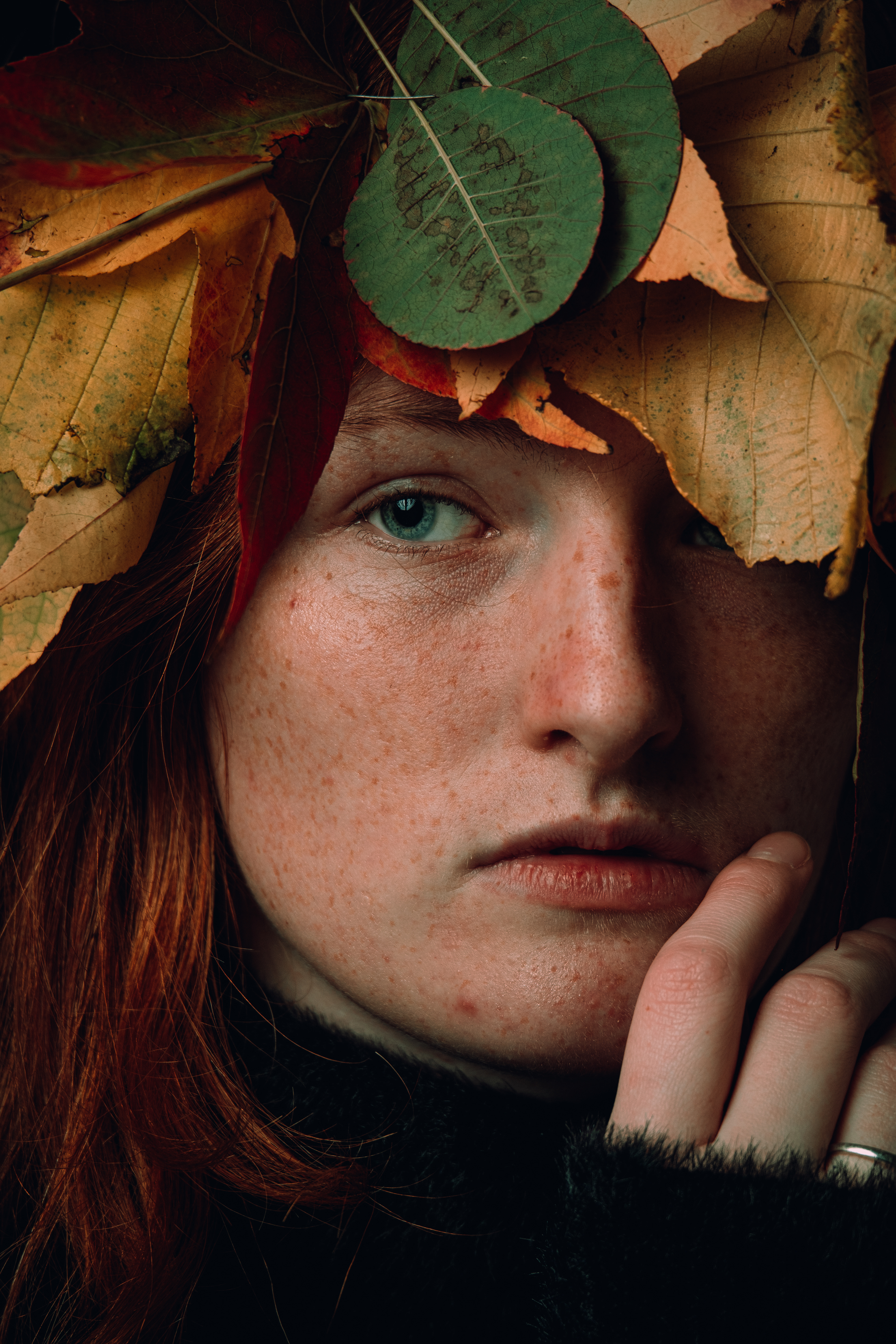 Autumn is coming down, Anouck Van Riemsdijk, 2024
