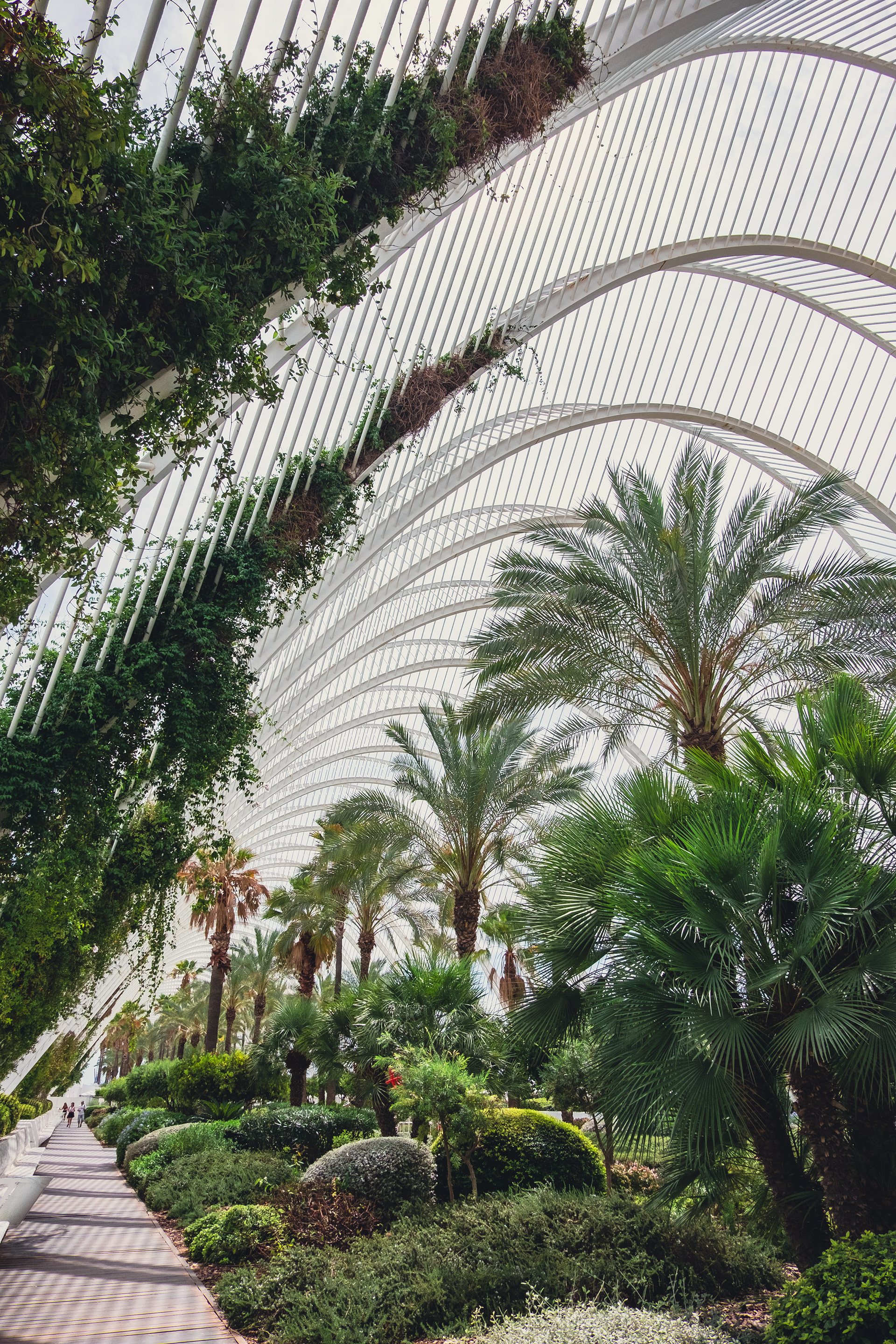 Nature surrounded by arches, Valencia, Spain 2023