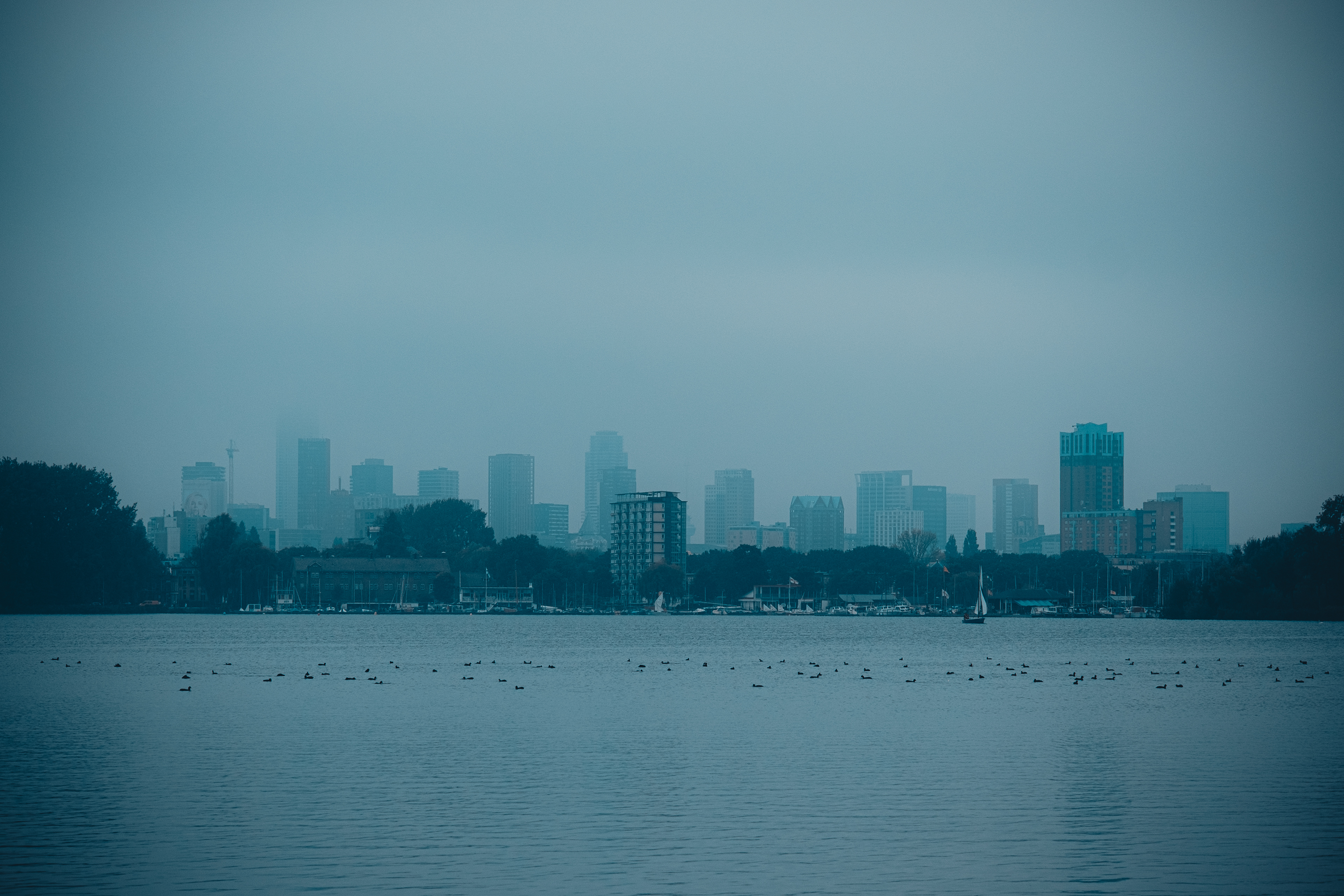 Rotterdam with fog, Rotterdam, Netherlands 2023