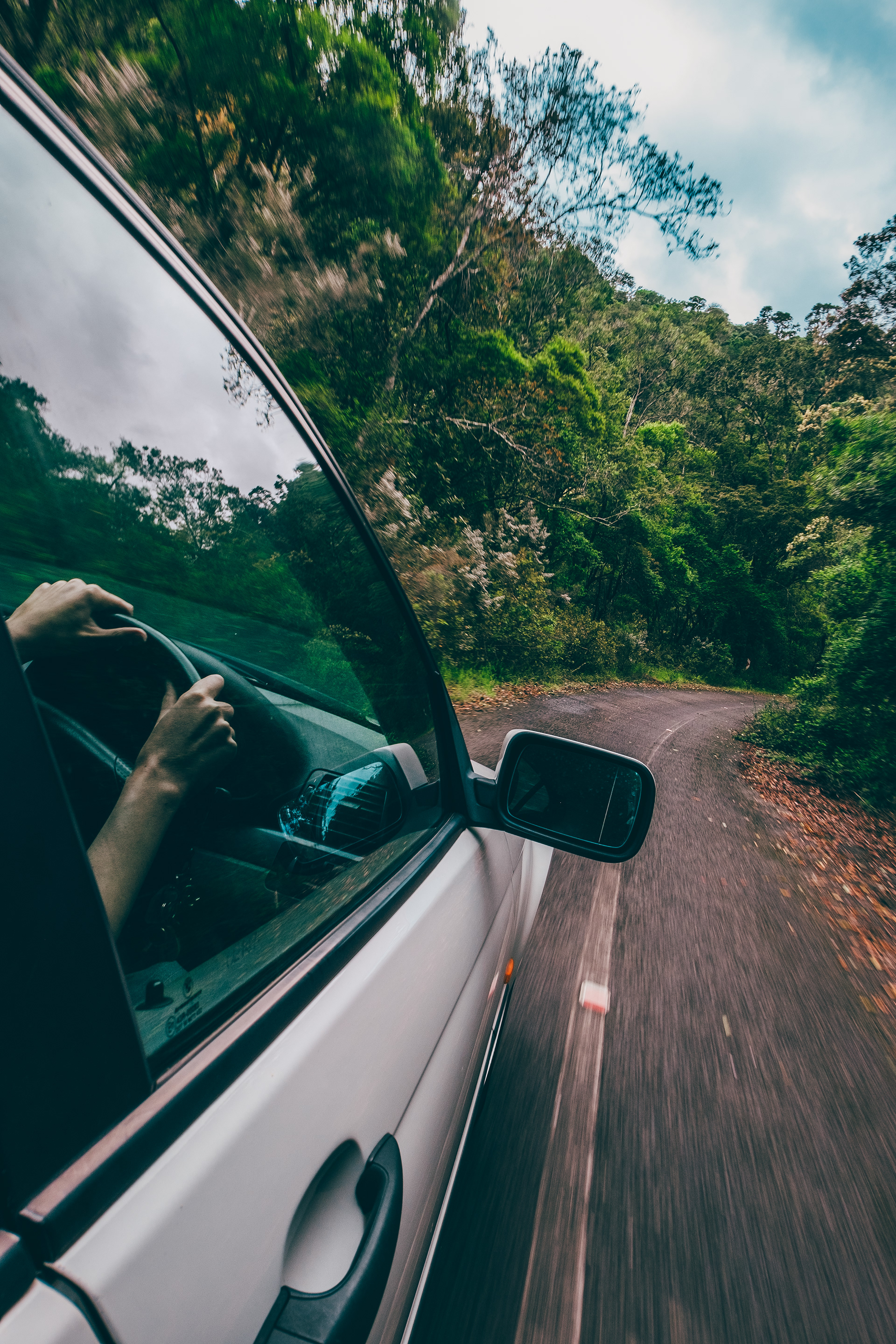 Cruising in wild forests, Tsitsikamma Park, South Africa 2023