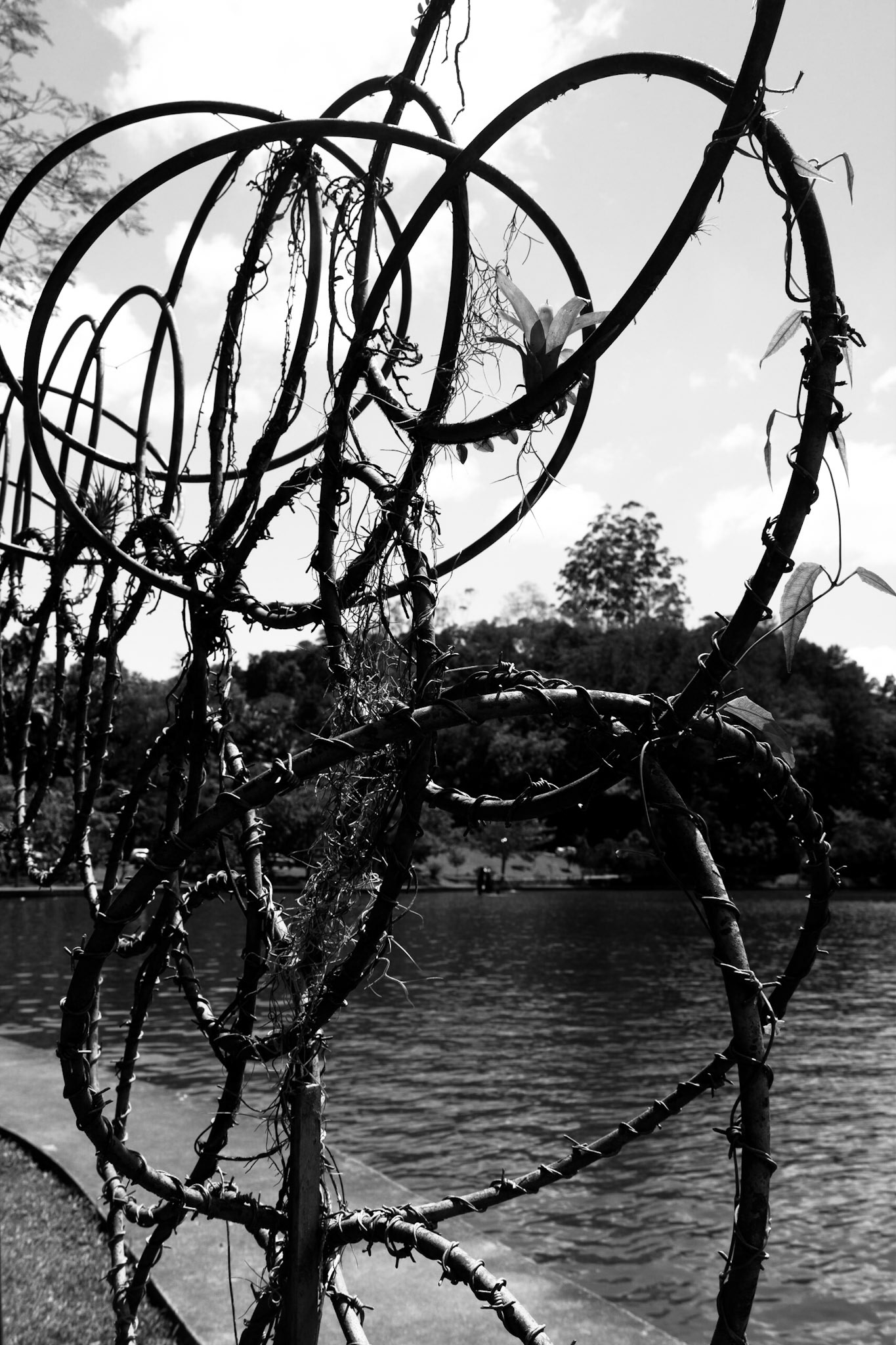 Parque da Malwee - Jaraguá do Sul