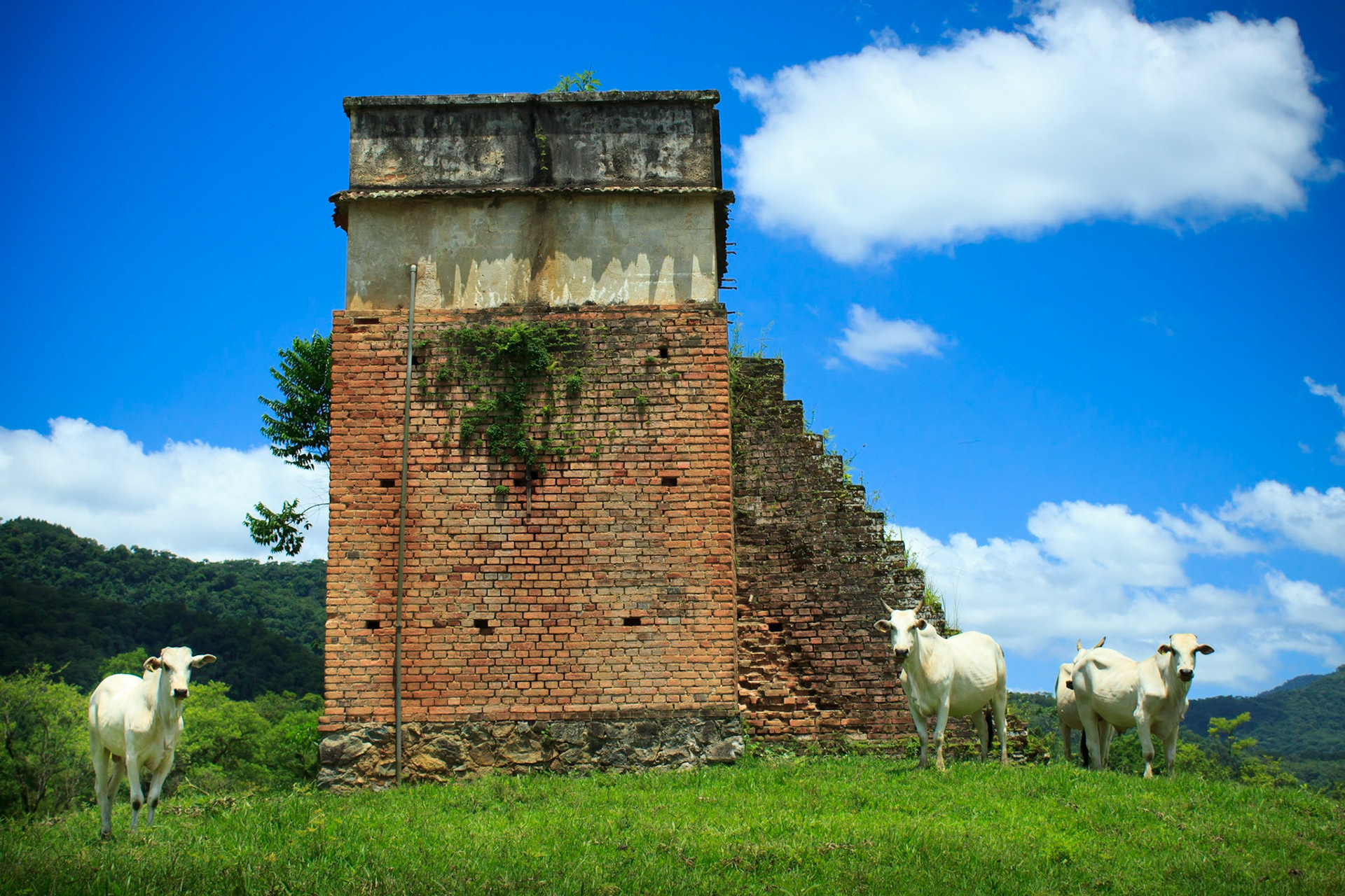Jaraguá do Sul - Interior
