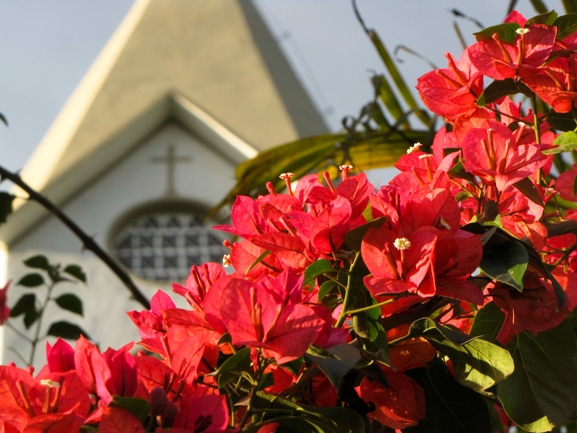 Sobre igrejas e flores
