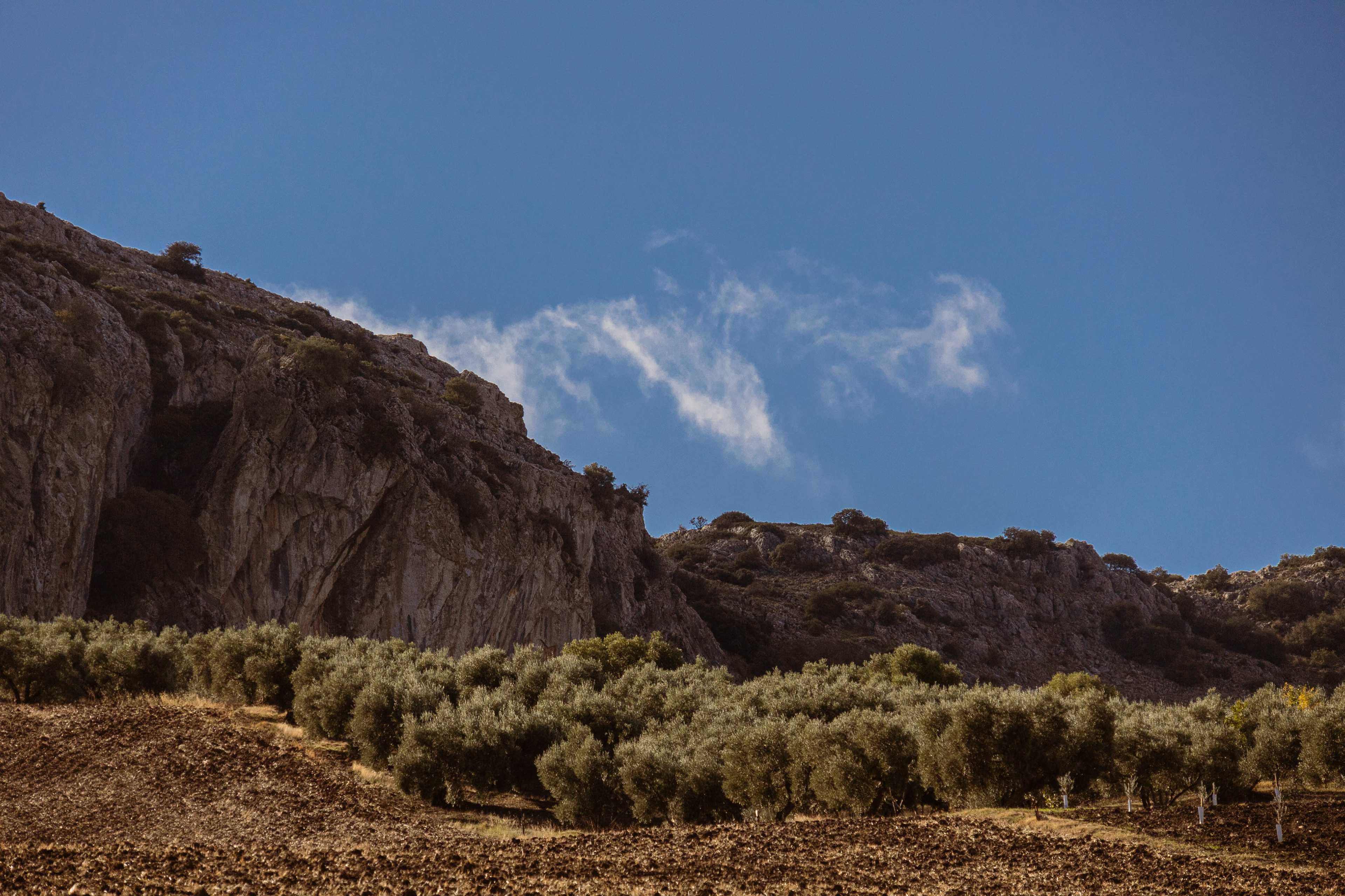 Cuevas del Becerro