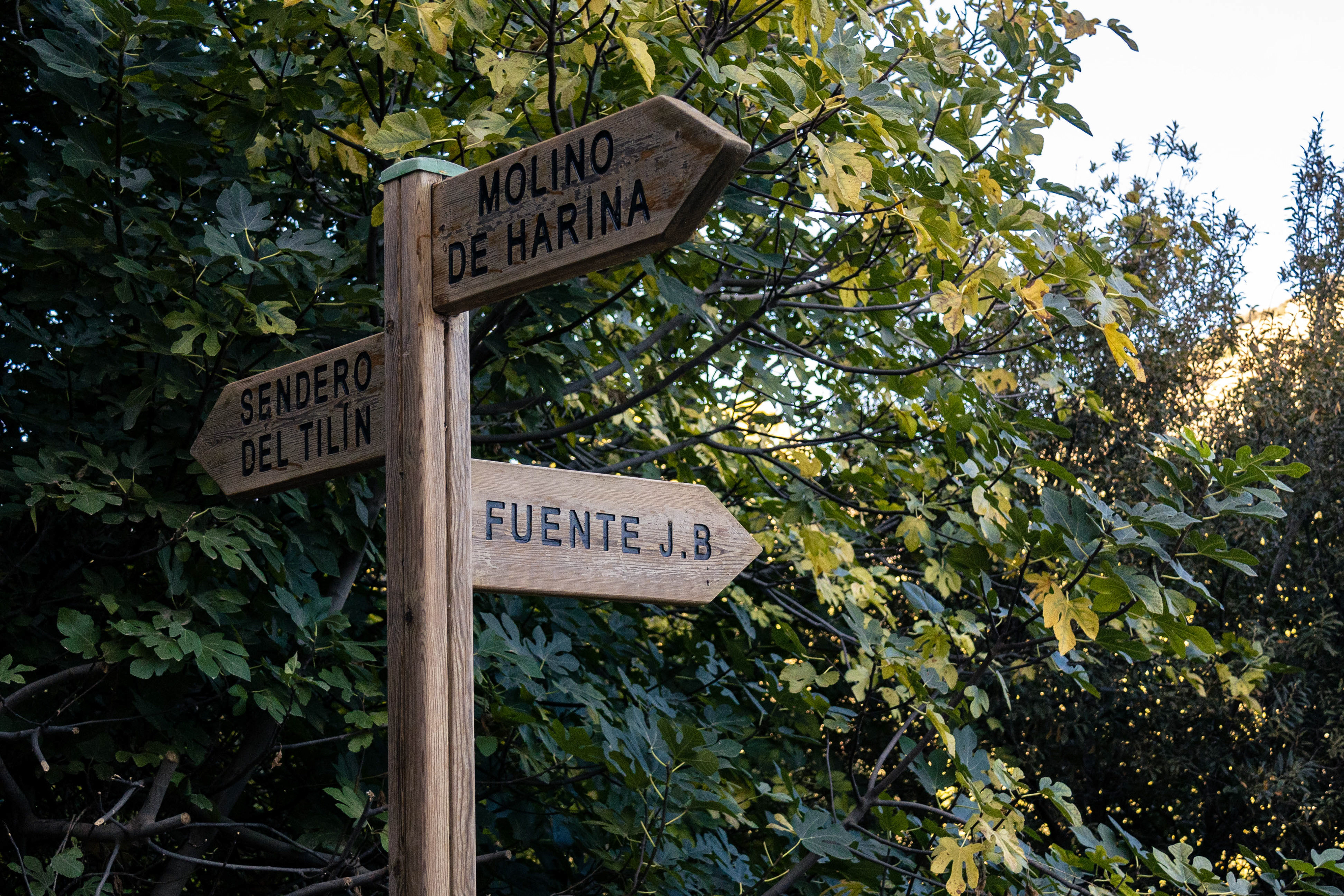 Cuevas del Becerro