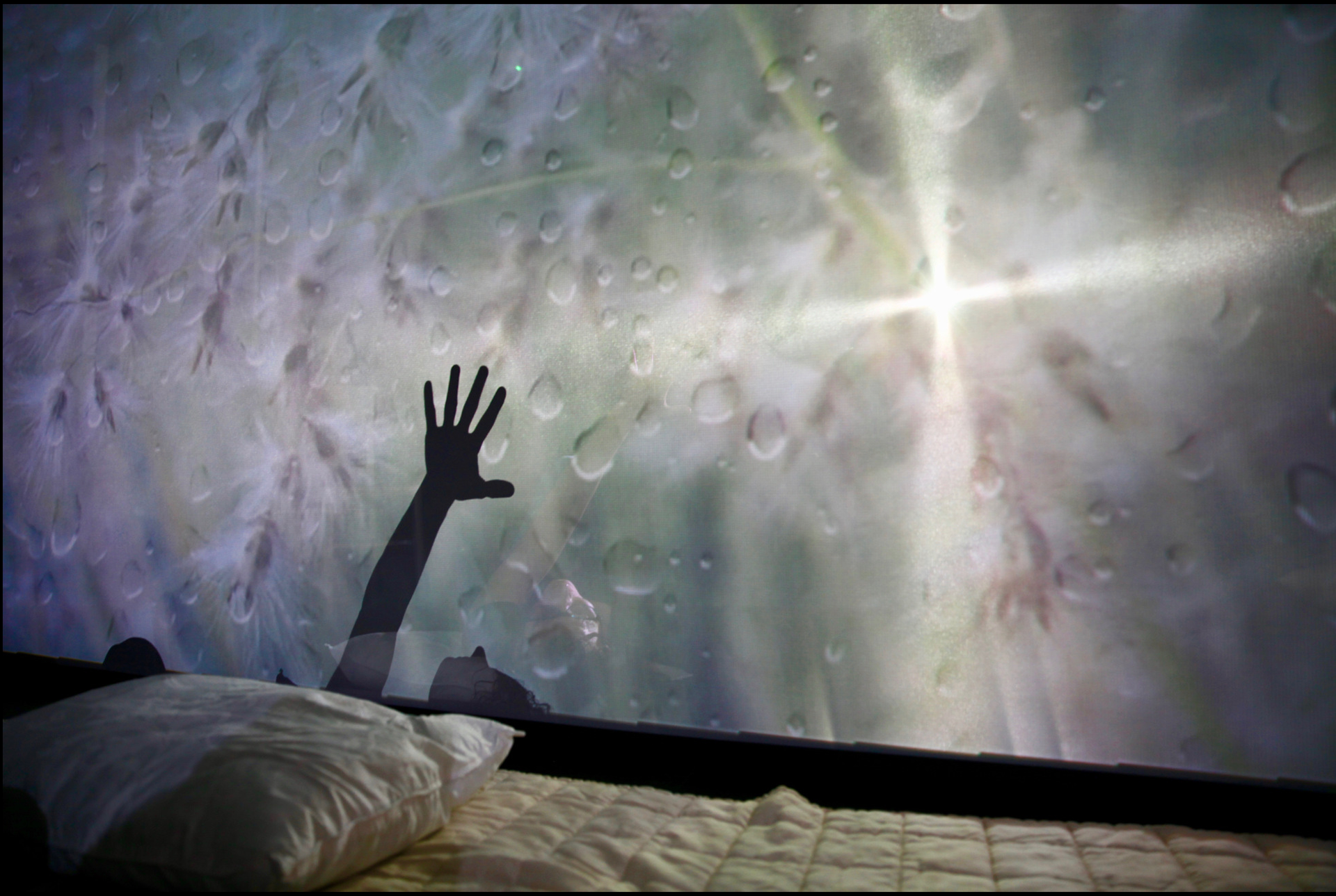 The Human Body Time Machine -Assistant Sound/ Projections Designer - UCSD