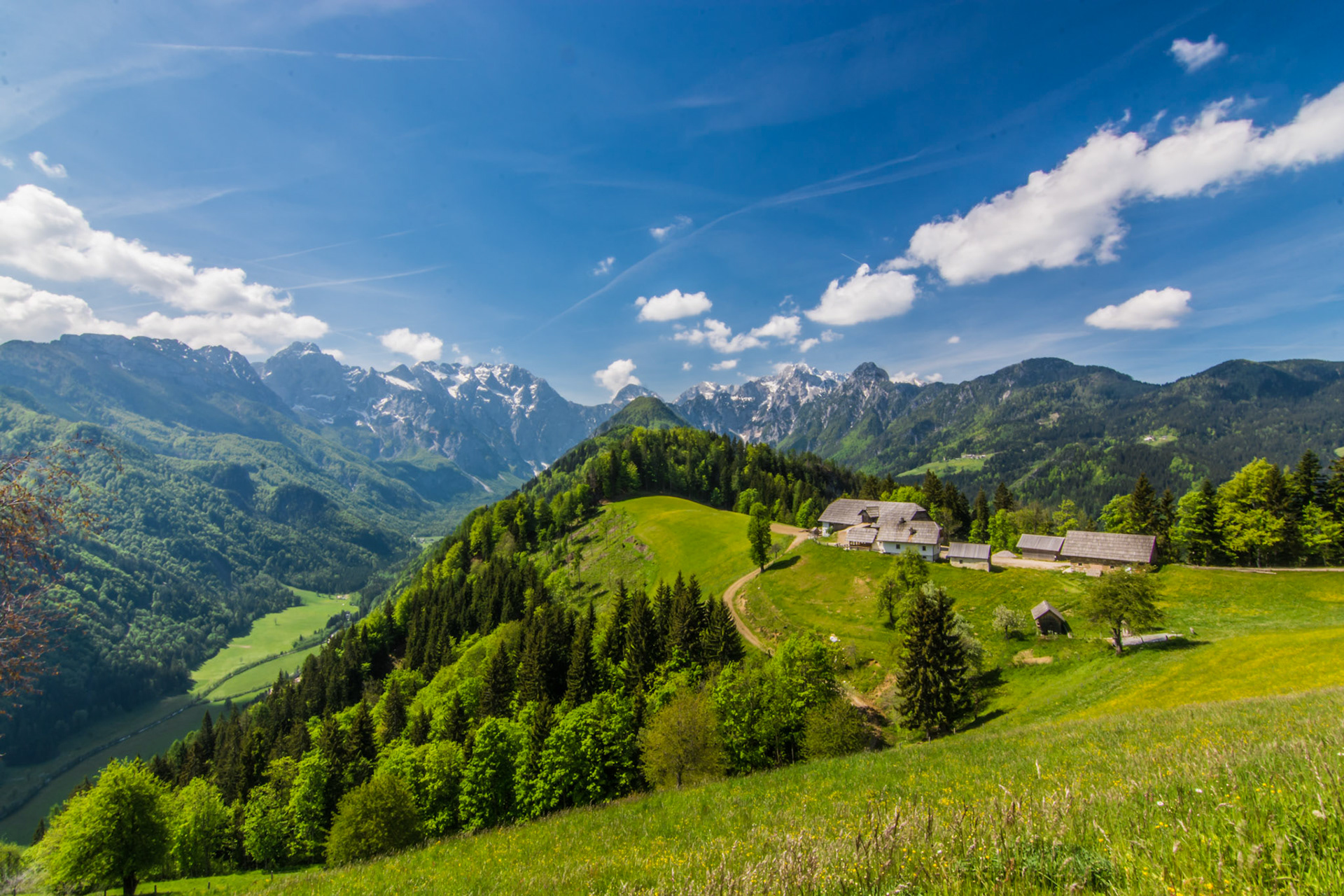 Bukovc farm - Podolseva