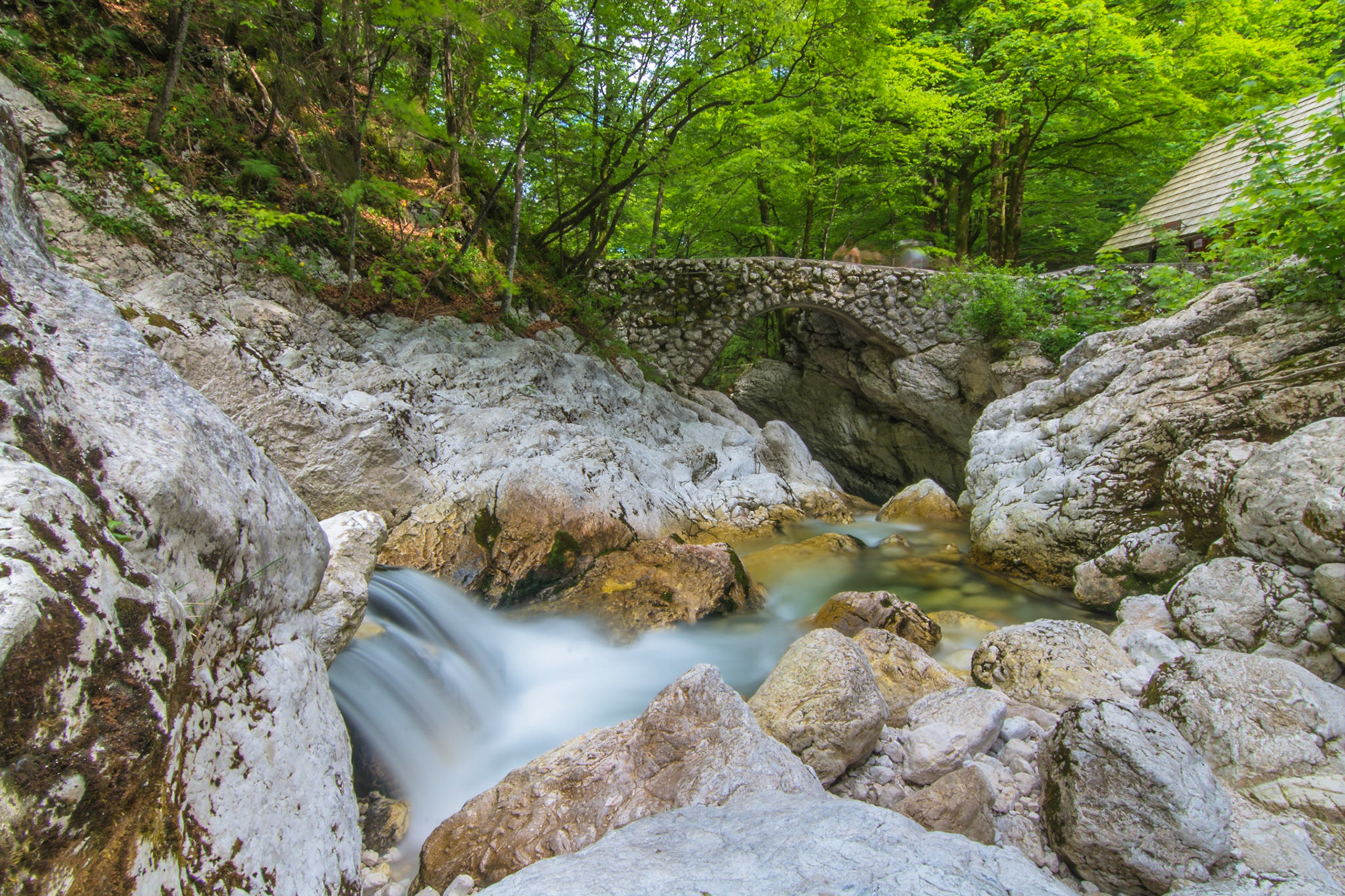 <p><a href="https://www.facebook.com/jazzabi.pmt/">Jazzabi - Facebook Page</a></p><p><a href="https://www.eyeem.com/u/szabolcsslley">Jazzabi on EyeEm</a></p>