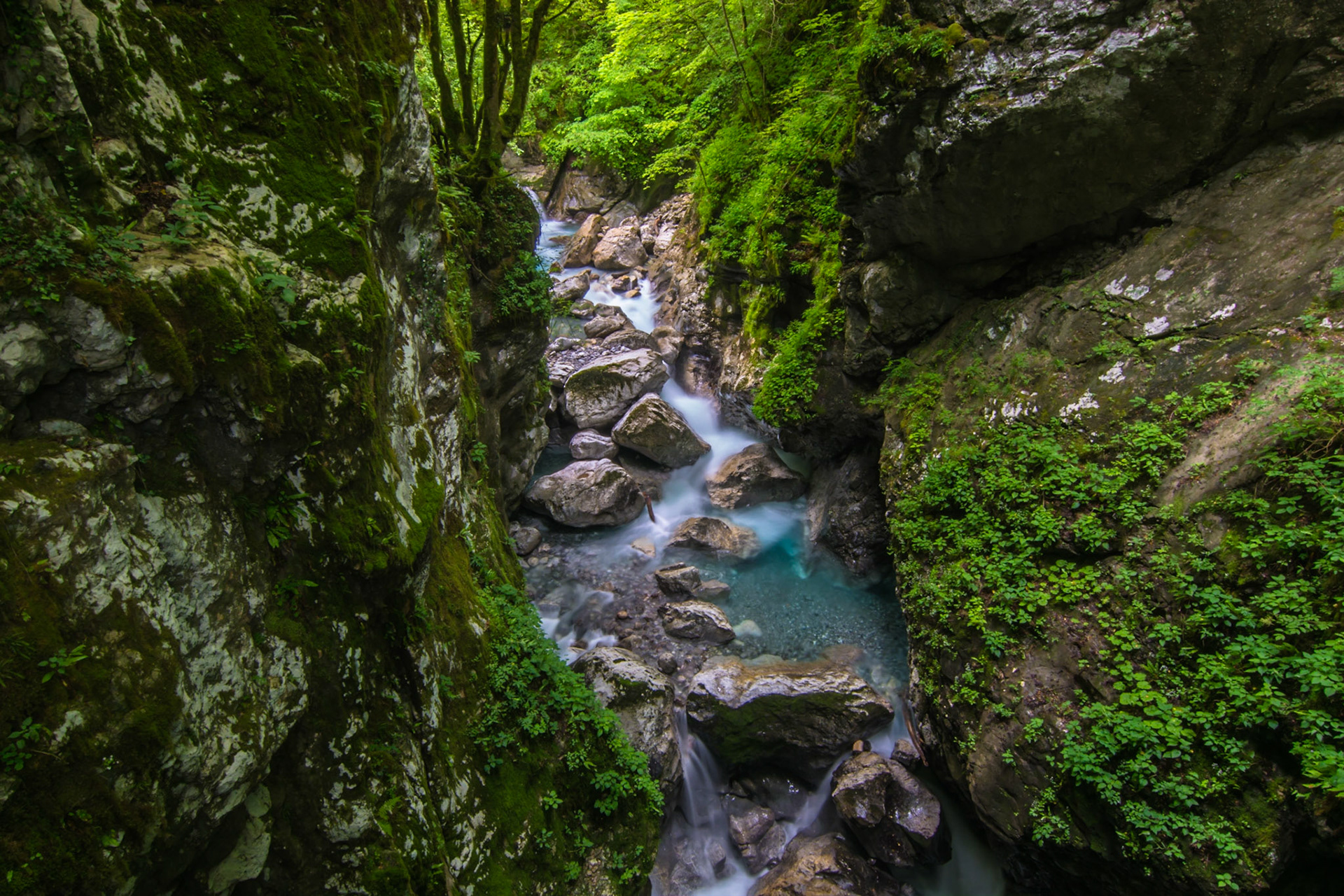 <p><a href="https://www.facebook.com/jazzabi.pmt/">Jazzabi - Facebook Page</a></p><p><a href="https://www.eyeem.com/u/szabolcsslley">Jazzabi on EyeEm</a></p>