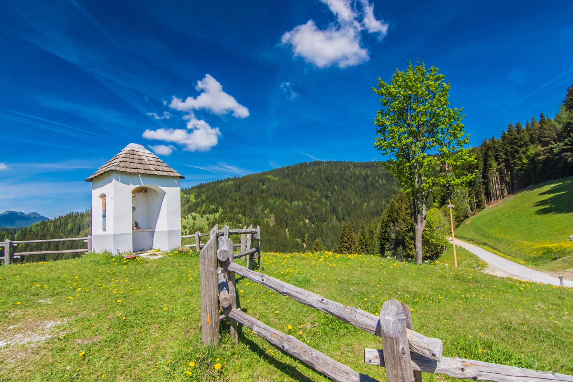 <p><a href="https://www.facebook.com/jazzabi.pmt/">Jazzabi - Facebook Page</a></p><p><a href="https://www.eyeem.com/u/szabolcsslley">Jazzabi on EyeEm</a></p>