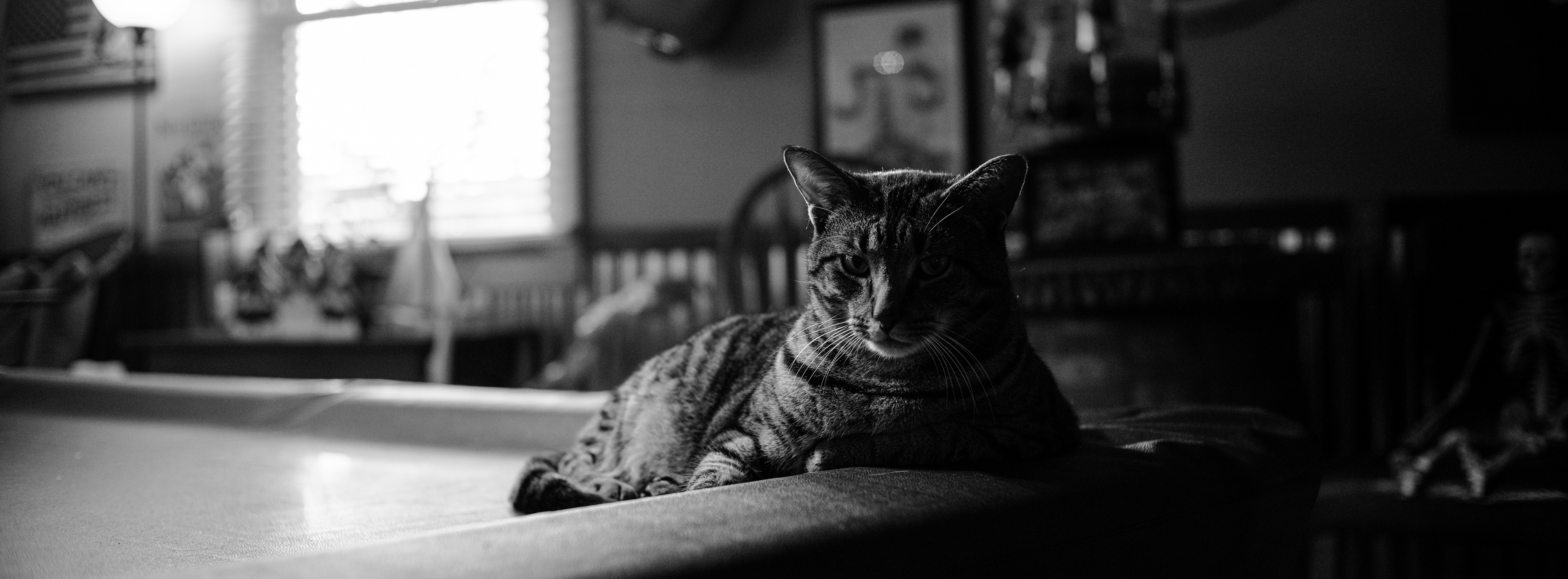 Fujifilm GFX 50R + Voigtlander Nokton Classic SC 40mm F1.4