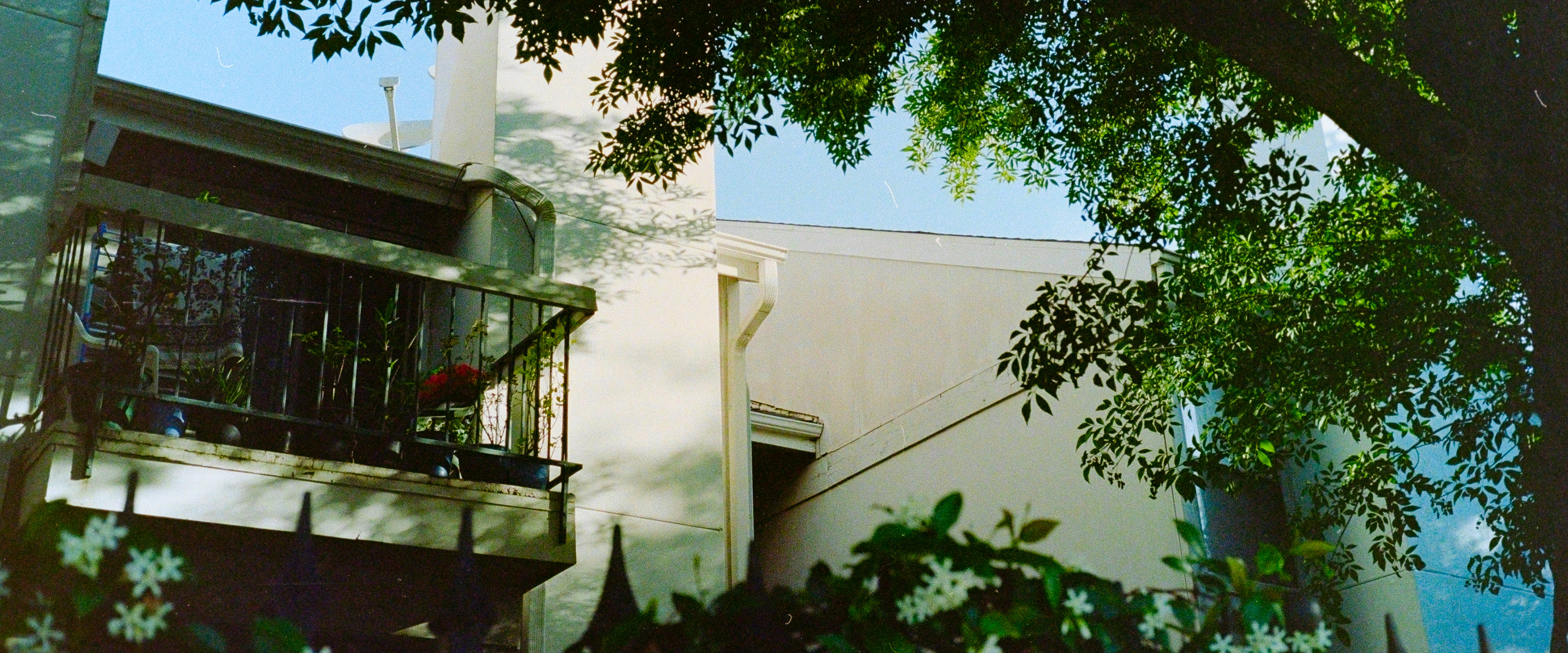 Kodak Portra 160