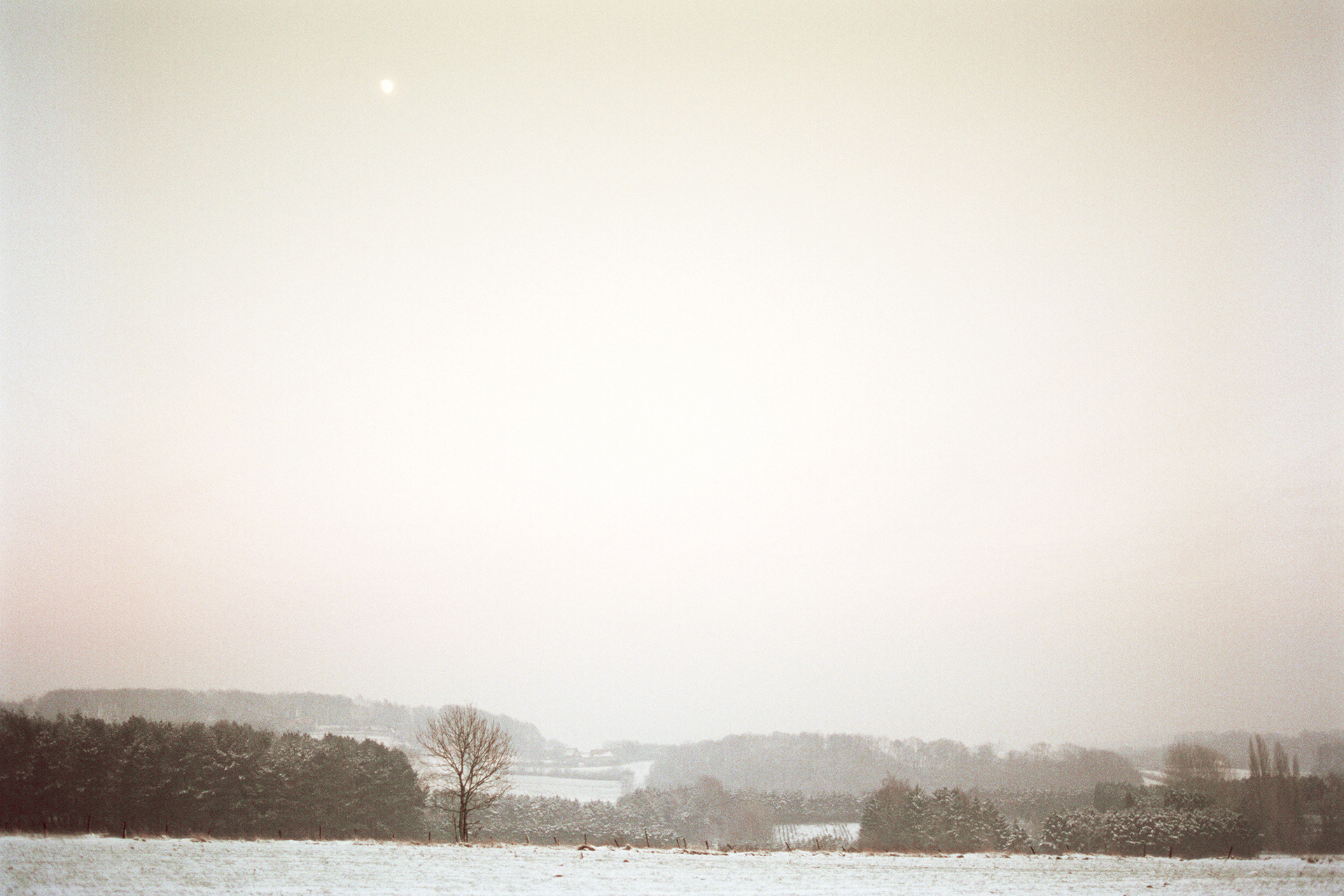 2003 - Frankrijk - Zwarte Berg - Mont-Noir - Rue de X