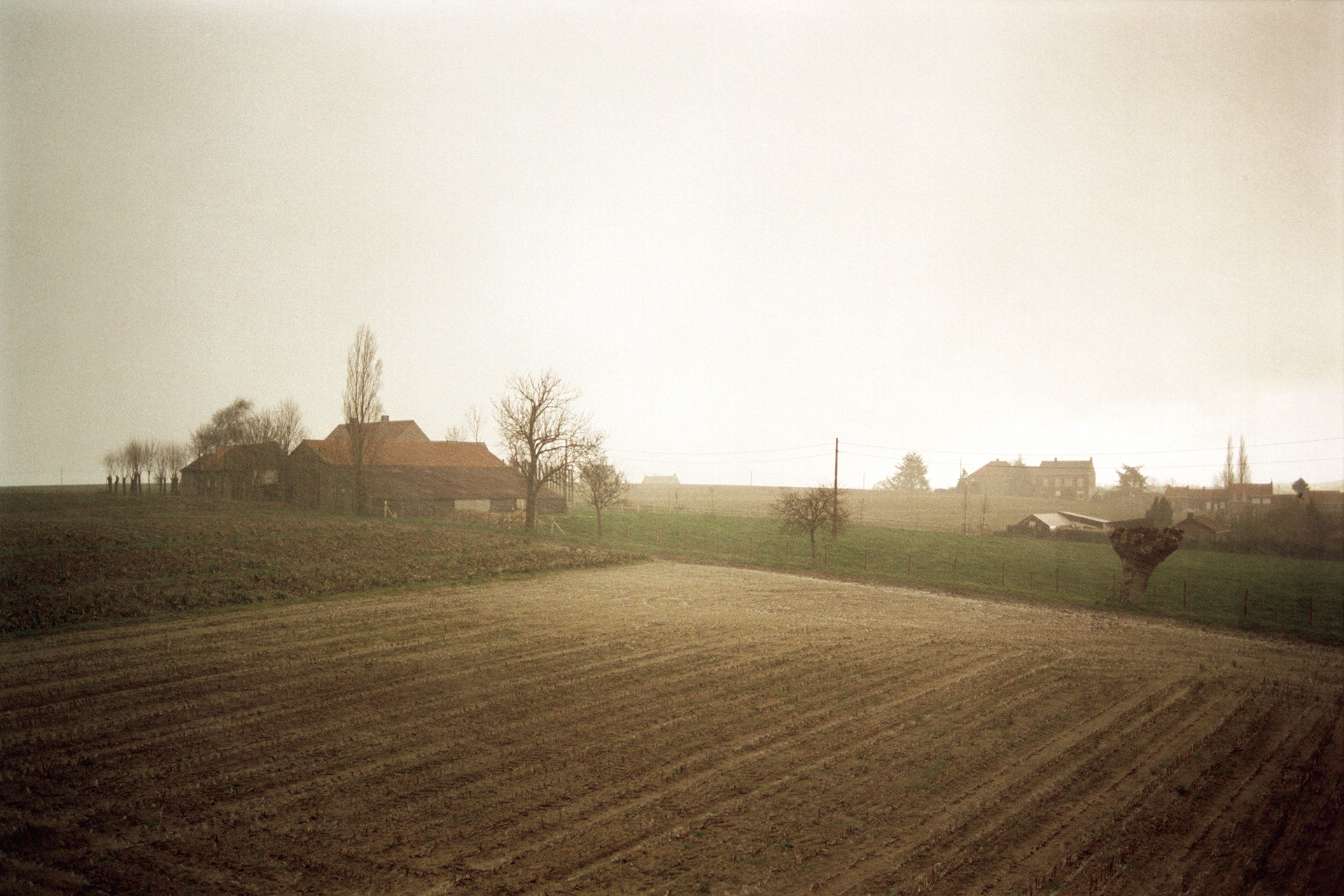 2003 - Abele - Vanuit mijn ouderlijke woning in de Trappistenweg