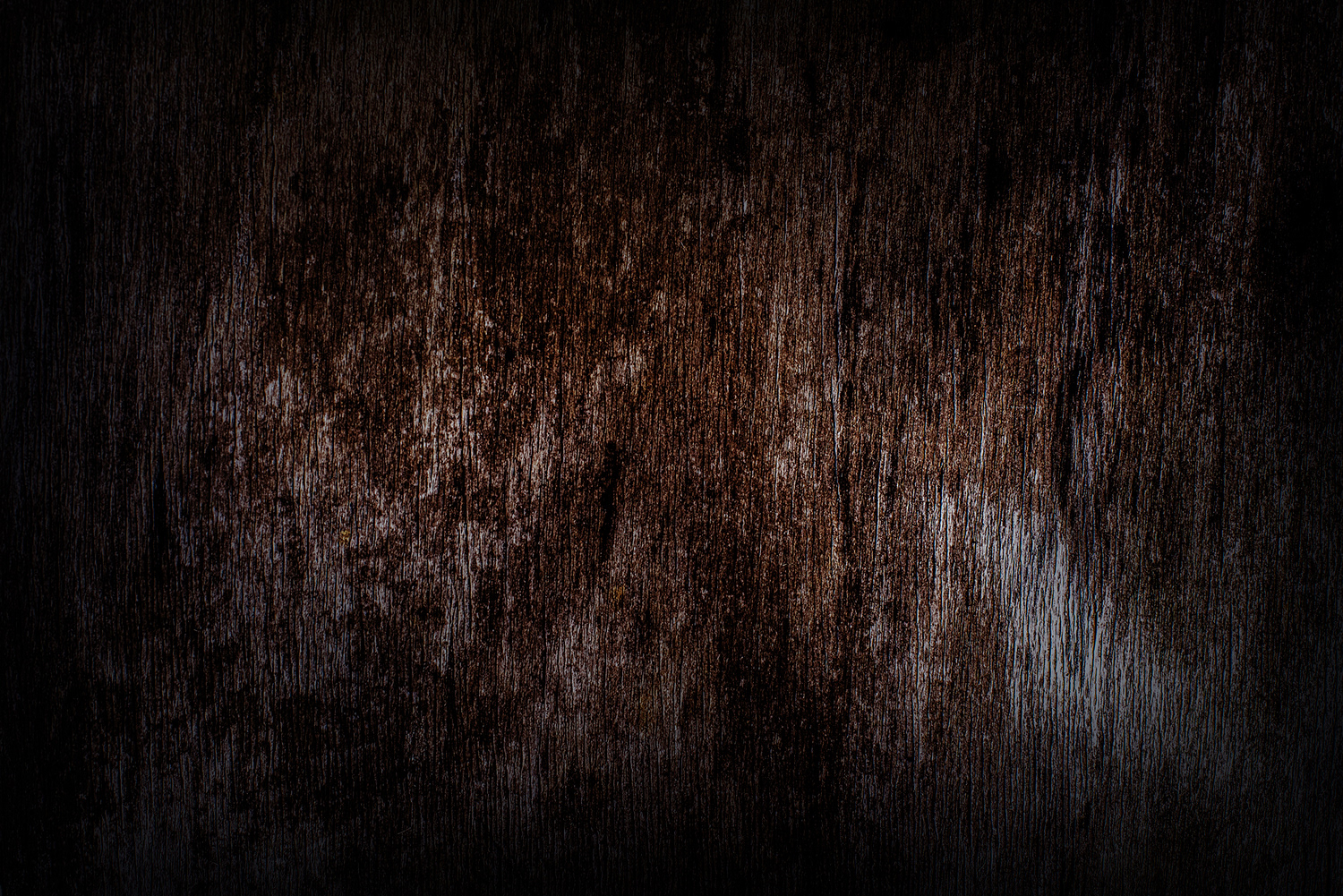 2020 - Dikkebus - Le Monde des Milles Couleurs - Soilmates ism Dries Delanote