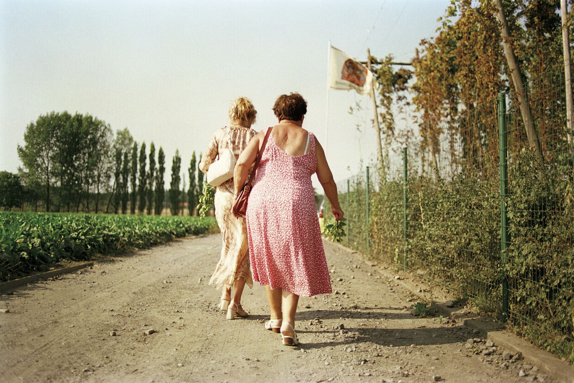 2003 - Abele - Hoeve Wally's Farm - Hopfeesten