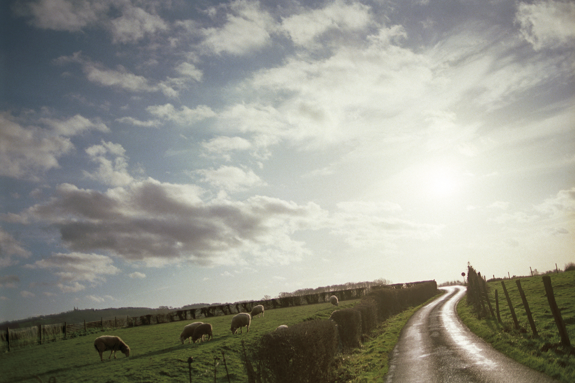 2003 - Frankrijk - Godewaarsvelde/Godewaersvelde -  CR de L'Epinette