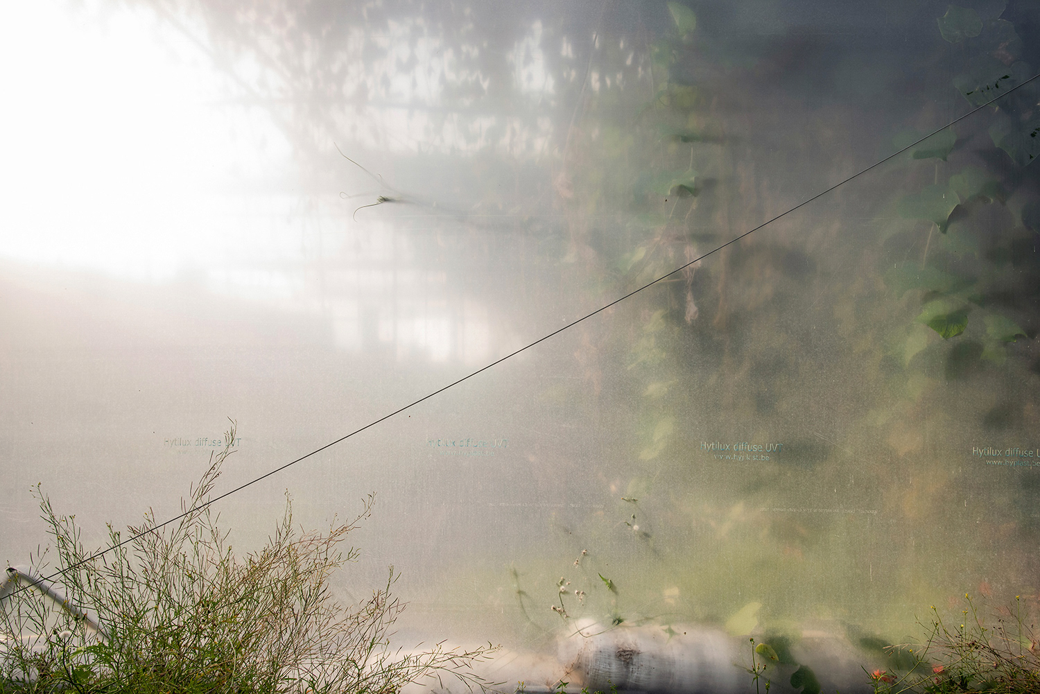 2020 - Dikkebus - Le Monde des Milles Couleurs - Soilmates ism Dries Delanote