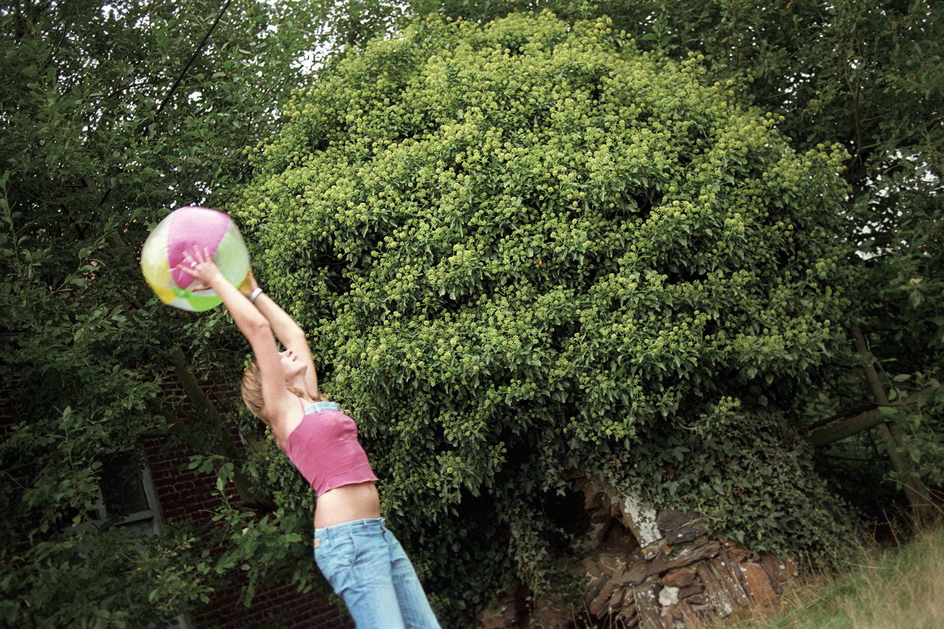 2003 - Poperinge - Provenstraat - Hoeve Boeraeve - Heike Maeyaert