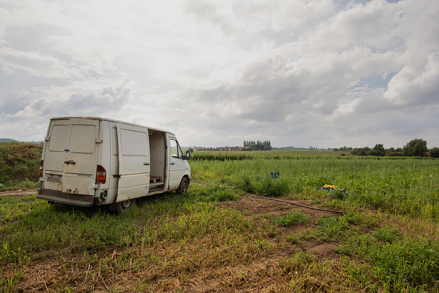 2020 - Dikkebus - Le Monde des Milles Couleurs - Soilmates ism Dries Delanote