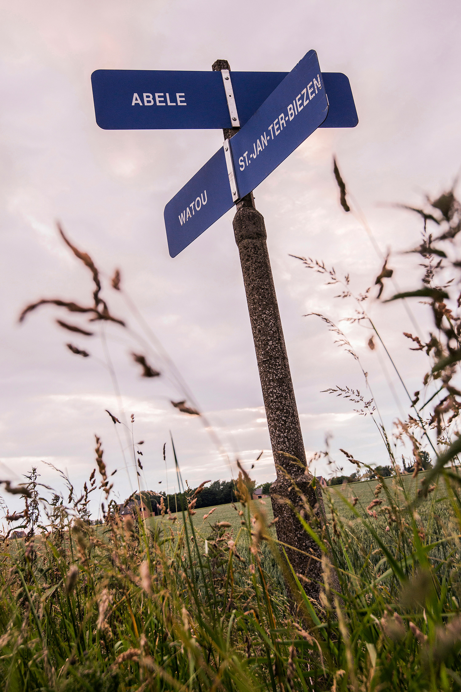 2015 - Poperinge - Douvieweg