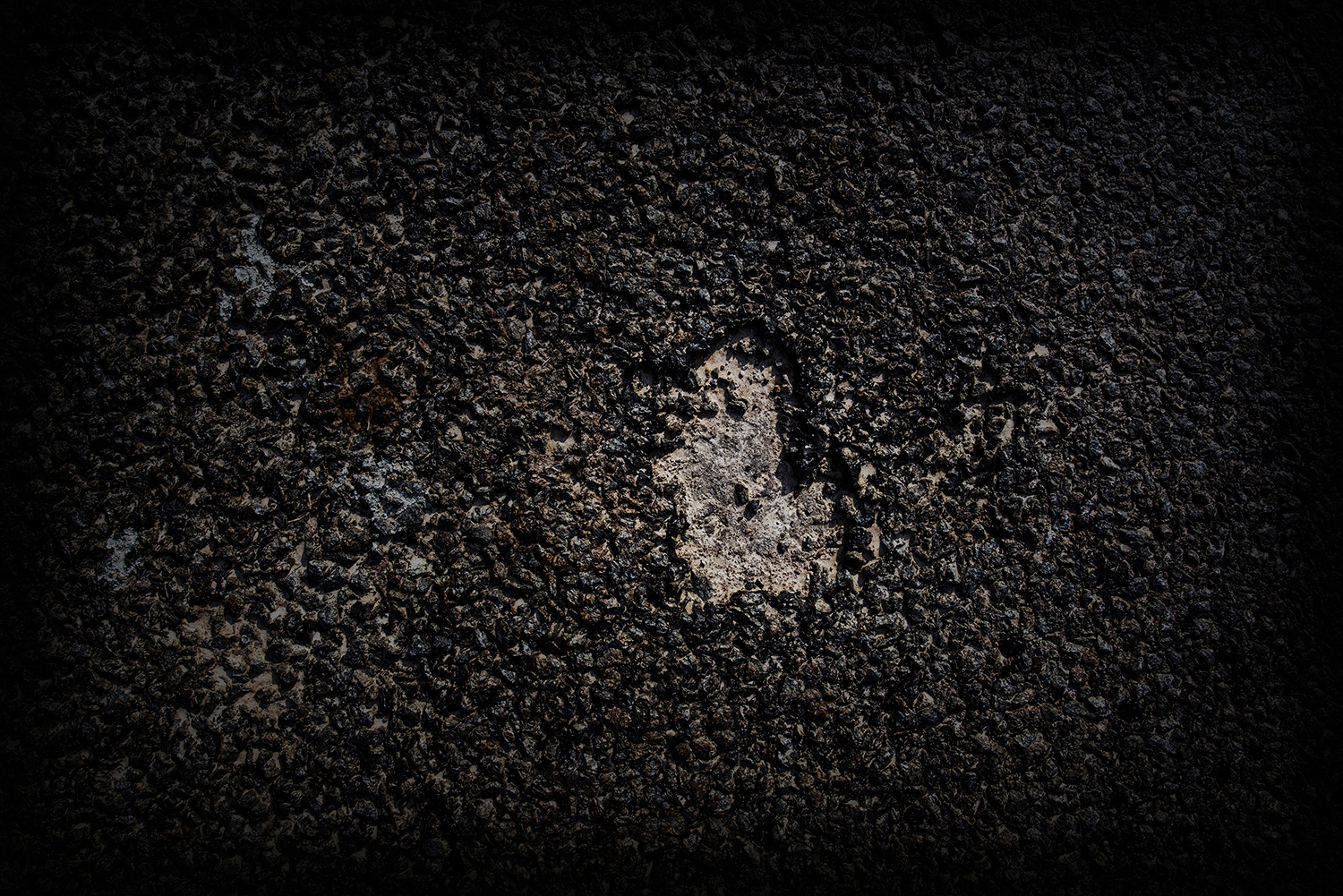 2020 - Dikkebus - Le Monde des Milles Couleurs - Soilmates ism Dries Delanote