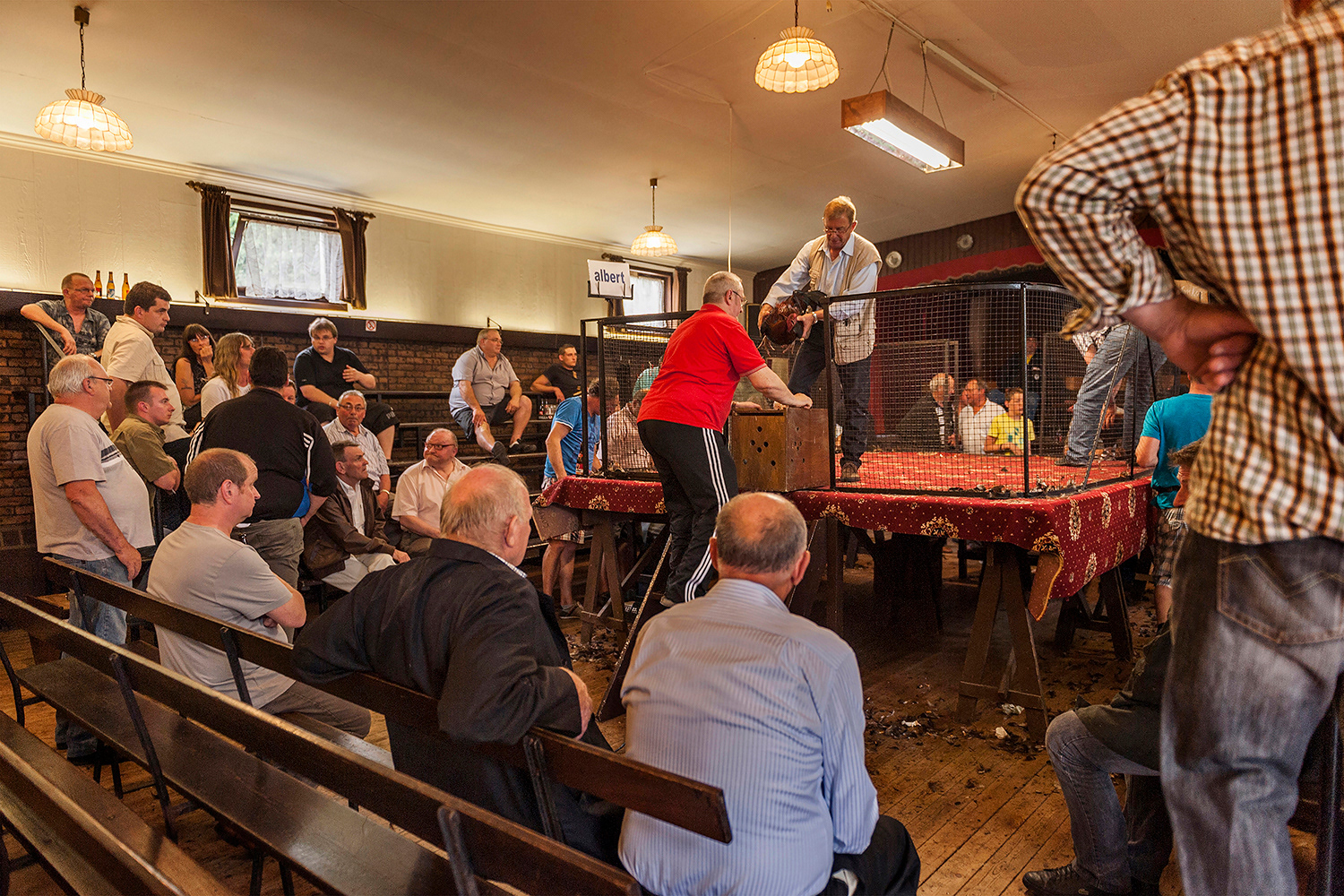 2014 - Abele - Le Tahiti - Hanekampgevechten 