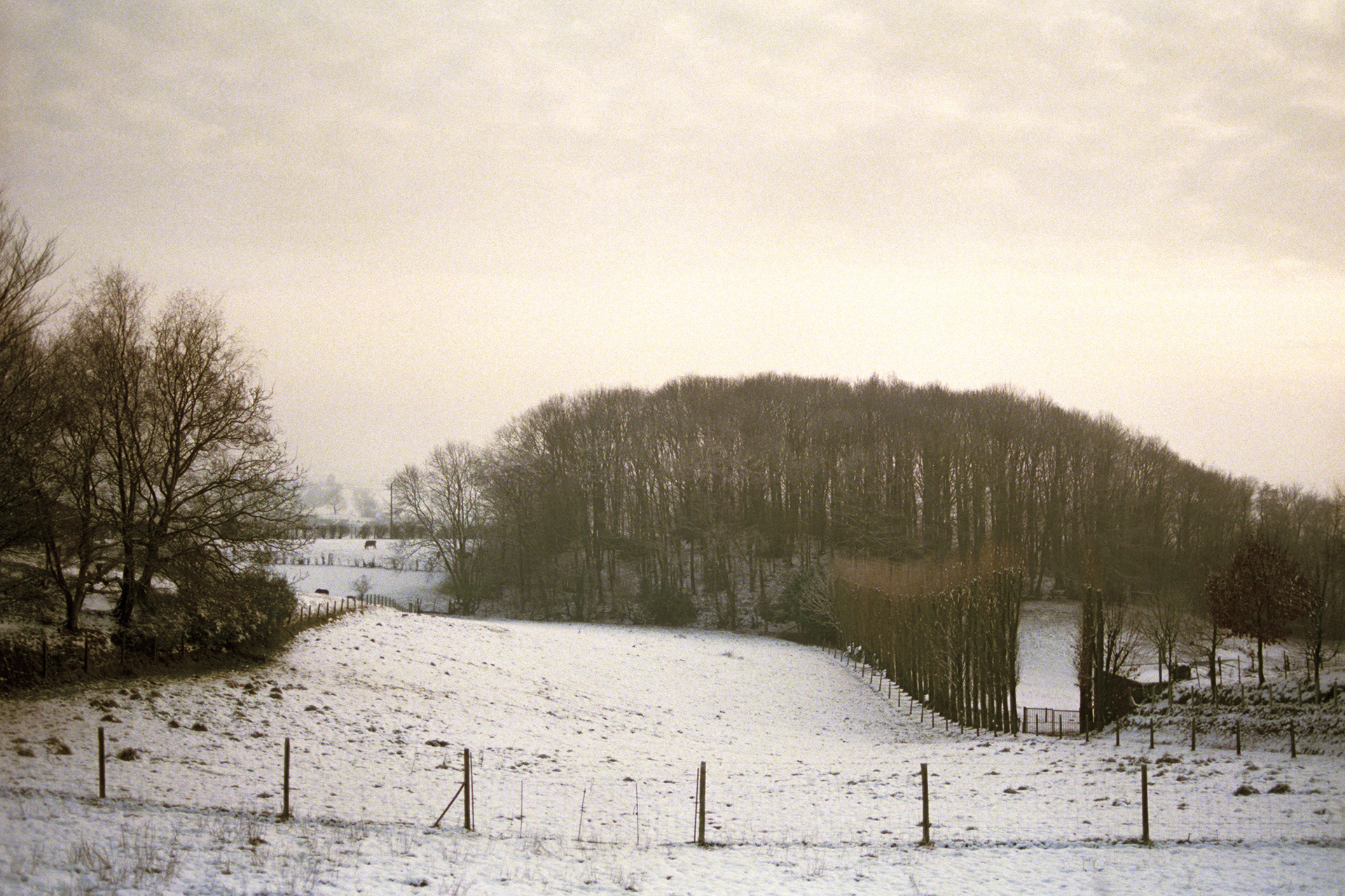 2003 - Frankrijk - Zwarte Berg - Mont-Noir - Rue de X