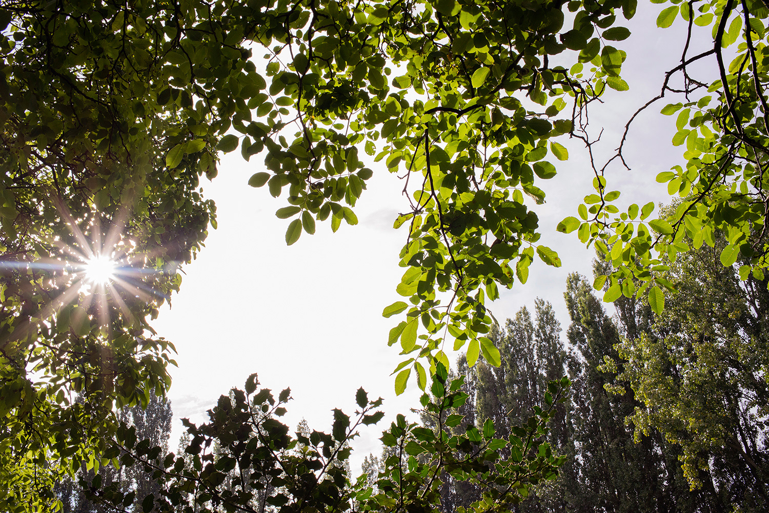 2020 - Dikkebus - Le Monde des Milles Couleurs - Soilmates ism Dries Delanote