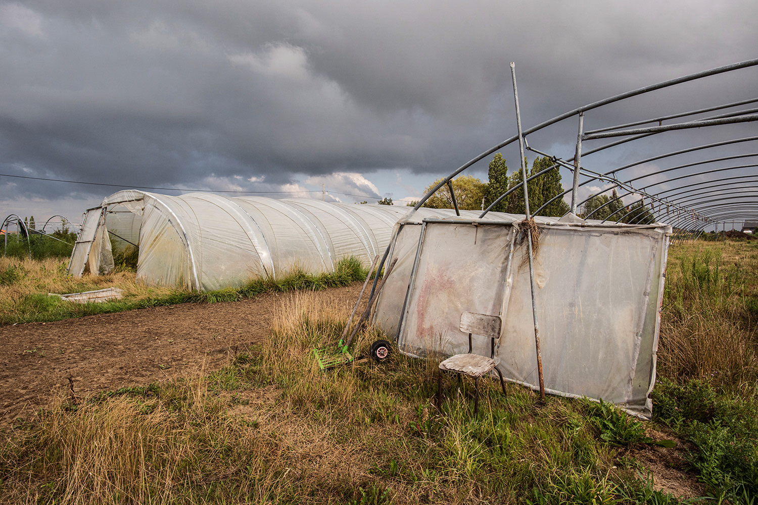2020 - Dikkebus - Le Monde des Milles Couleurs - Soilmates ism Dries Delanote