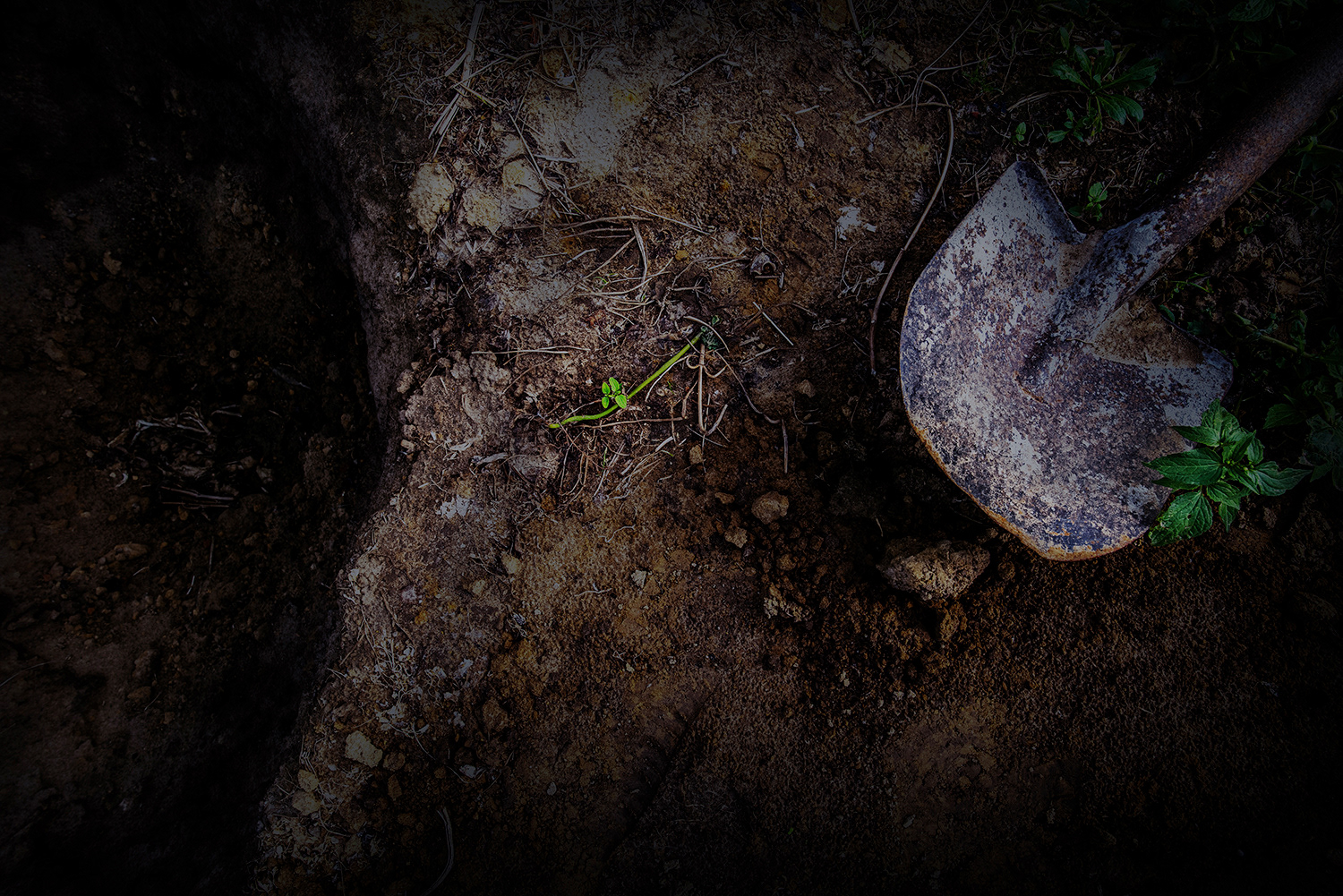 2020 - Dikkebus - Le Monde des Milles Couleurs - Soilmates ism Dries Delanote