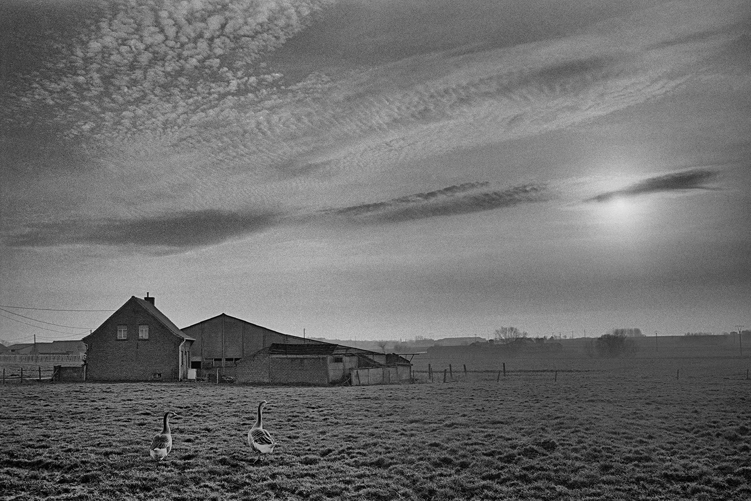 2000 - Watou - Dodemanstraat