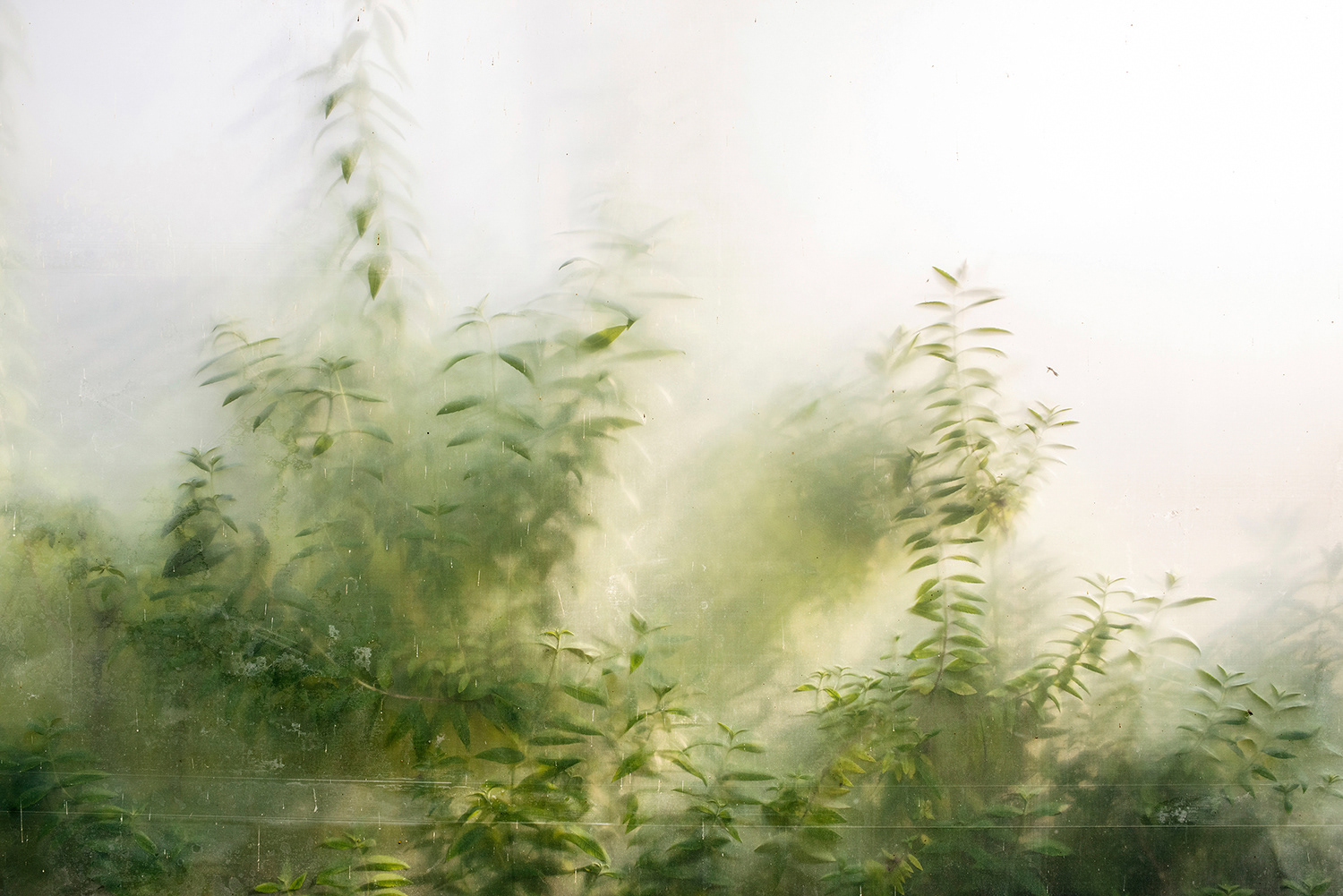 2020 - Dikkebus - Le Monde des Milles Couleurs - Soilmates ism Dries Delanote