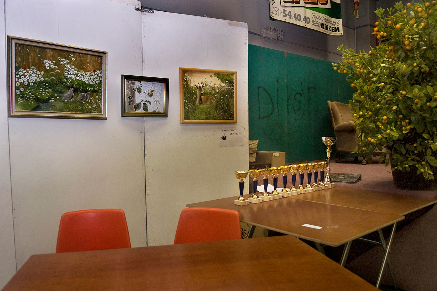 2007 - Poperinge - Zaal Maeke Blyde - Vogeltentoonstelling