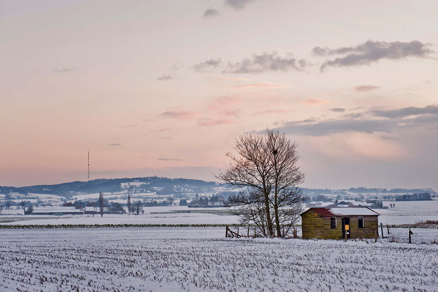 Abele - Le Monts des Cats vanuit de Trappistenweg