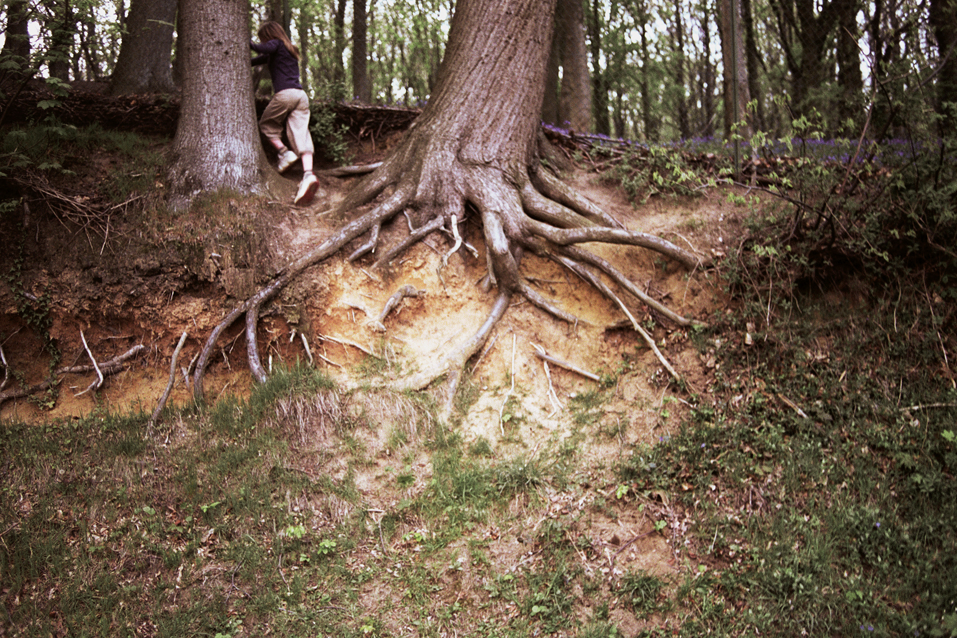 2003 - Dranouter - Lettingstraat - De Hollemeersch