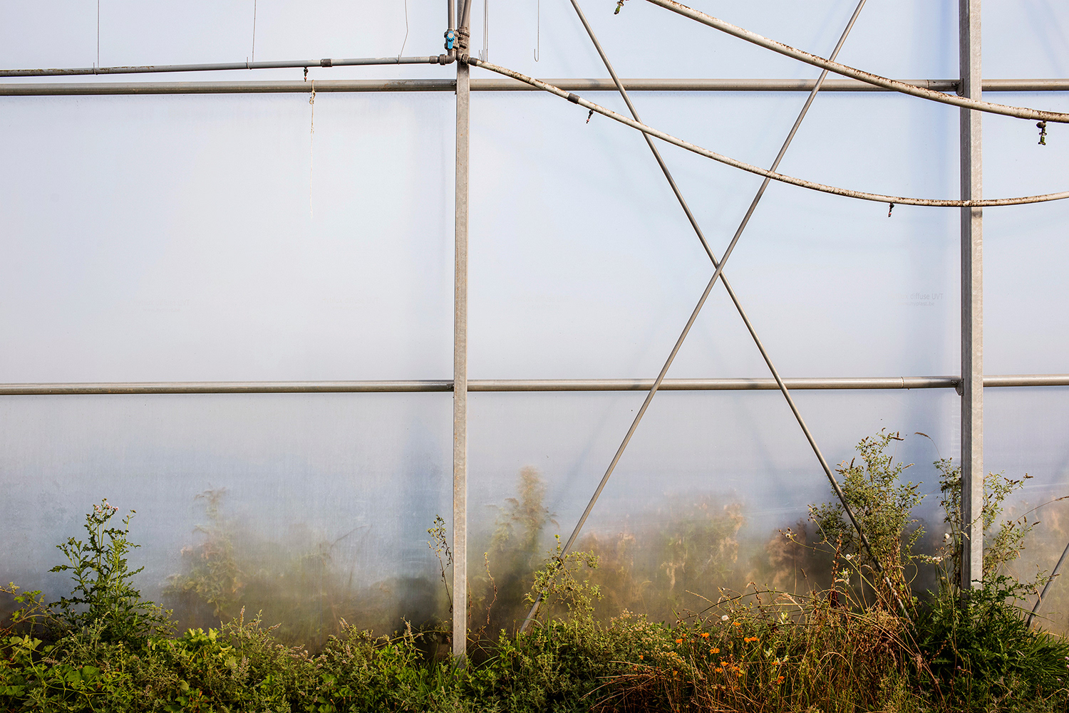 2020 - Dikkebus - Le Monde des Milles Couleurs - Soilmates ism Dries Delanote