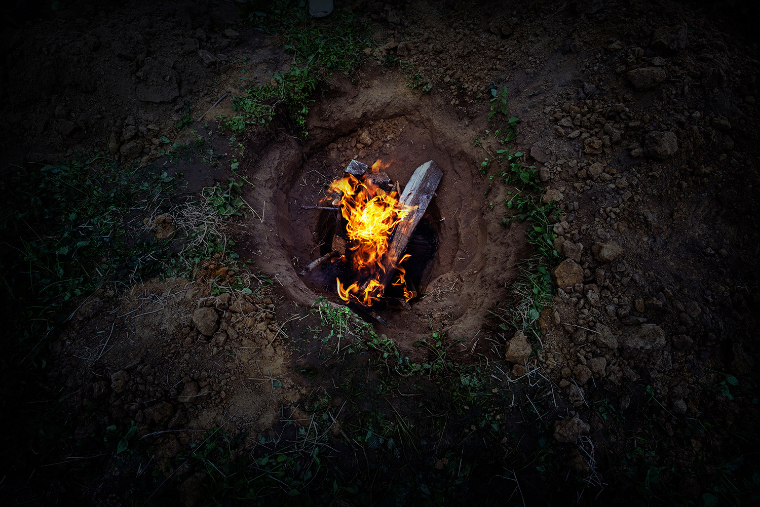 2020 - Dikkebus - Le Monde des Milles Couleurs - Soilmates ism Dries Delanote