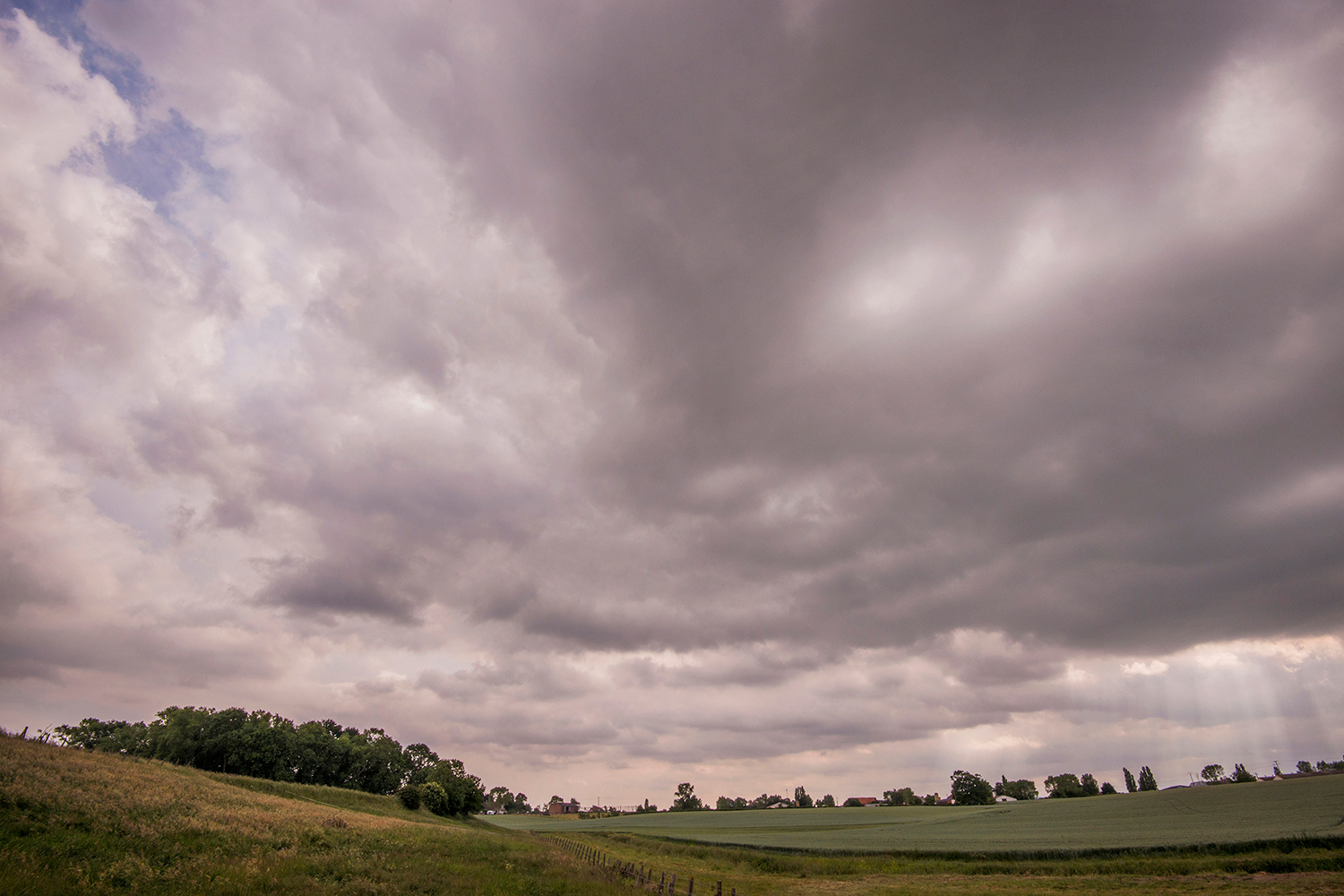 2015 - Watou - Warandestraat