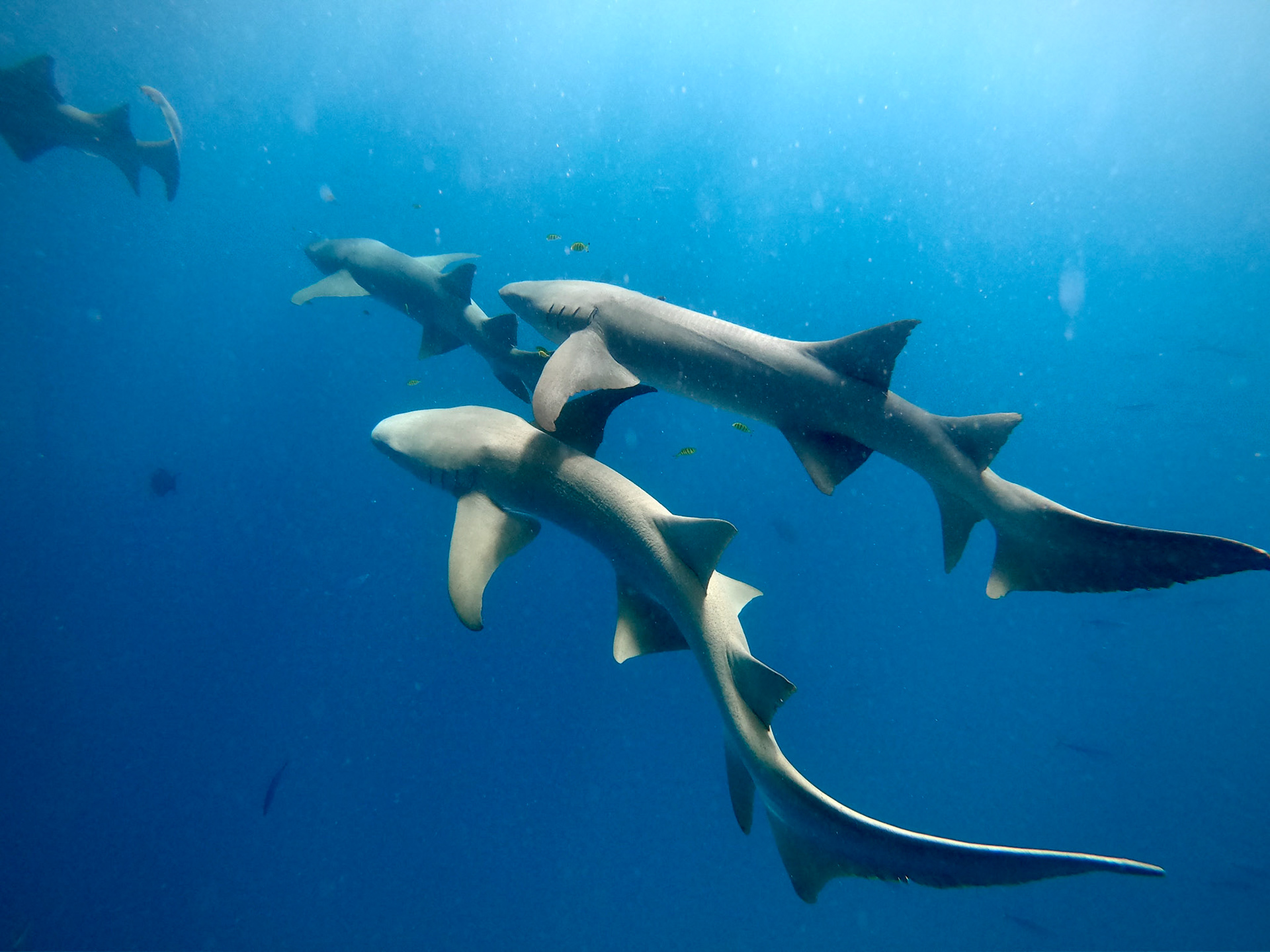 DCIM\100GOPRO\GOPR2275.JPG