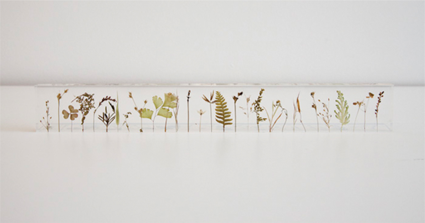 Pressed Flowers by Artist