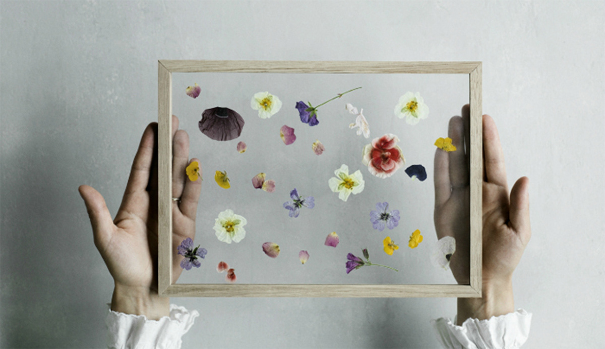 Pressed Flowers by Artist